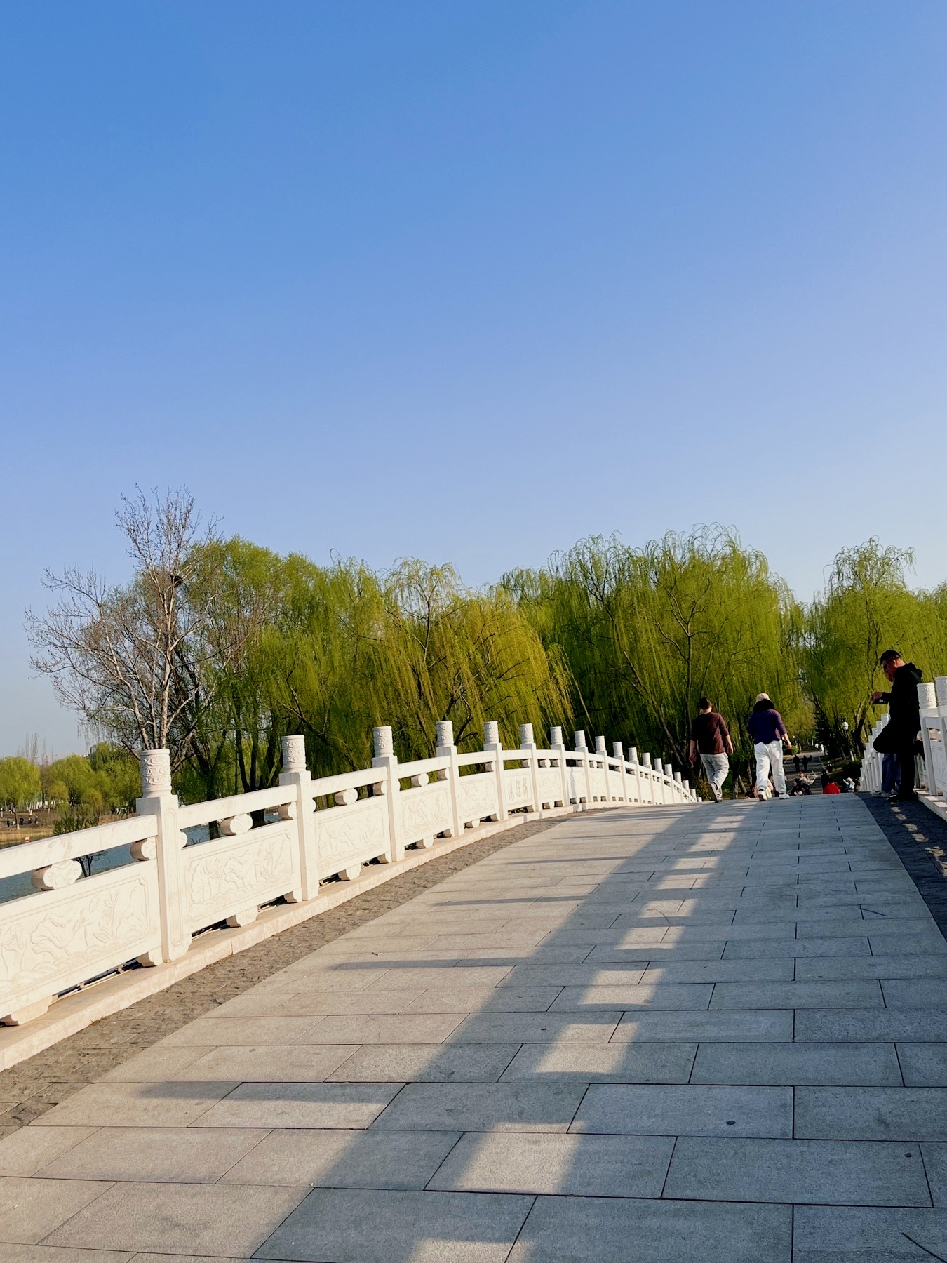 🌸章丘绣江河公园