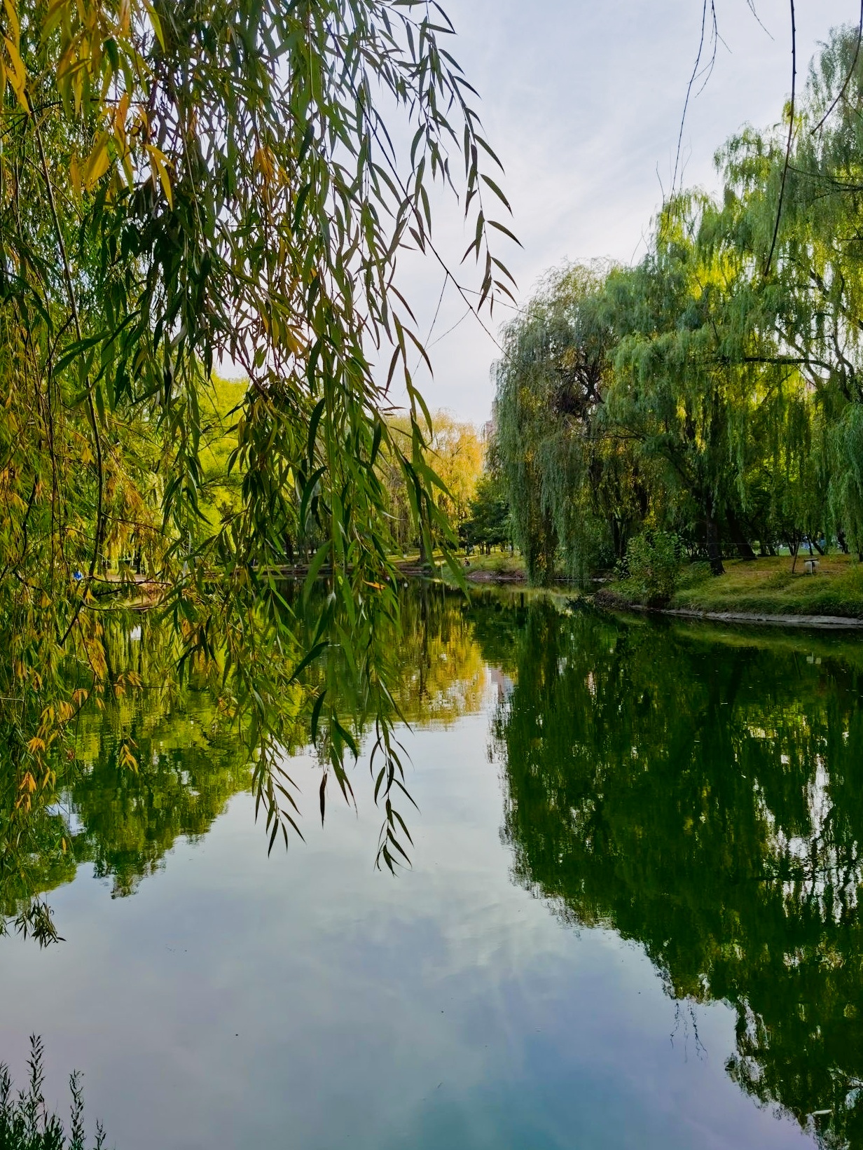 🌿毕业旅行新地标