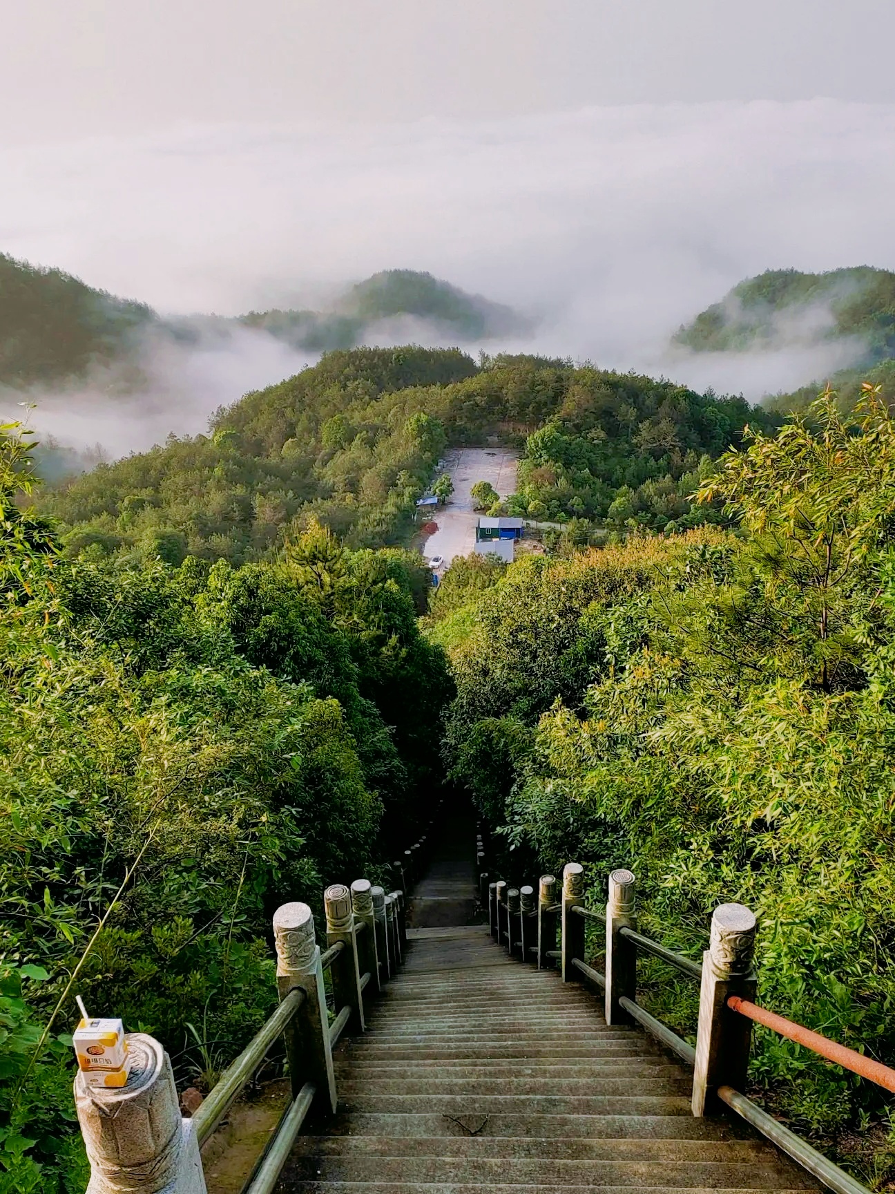 🌿灵谷峰亲子游攻略