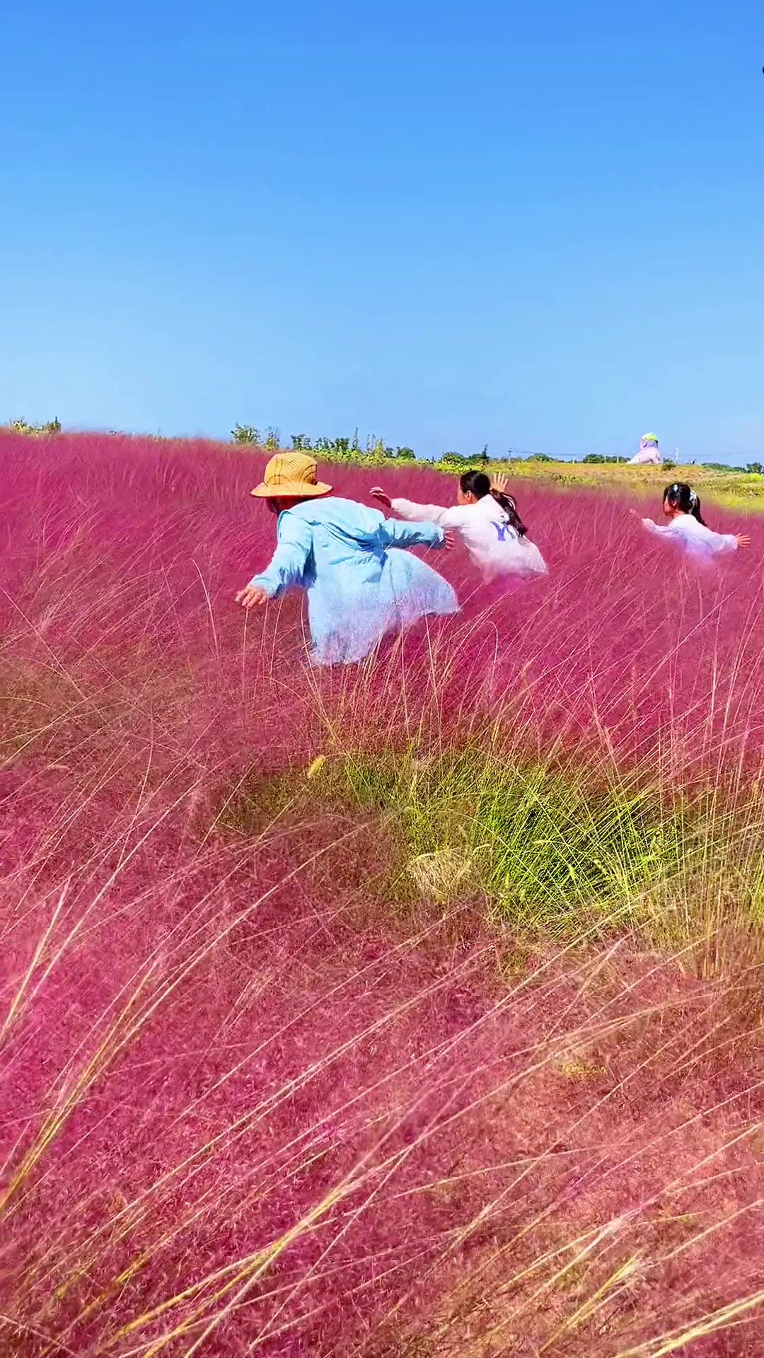 🌼秋日限定浪漫!永定公园粉黛花海打卡指南