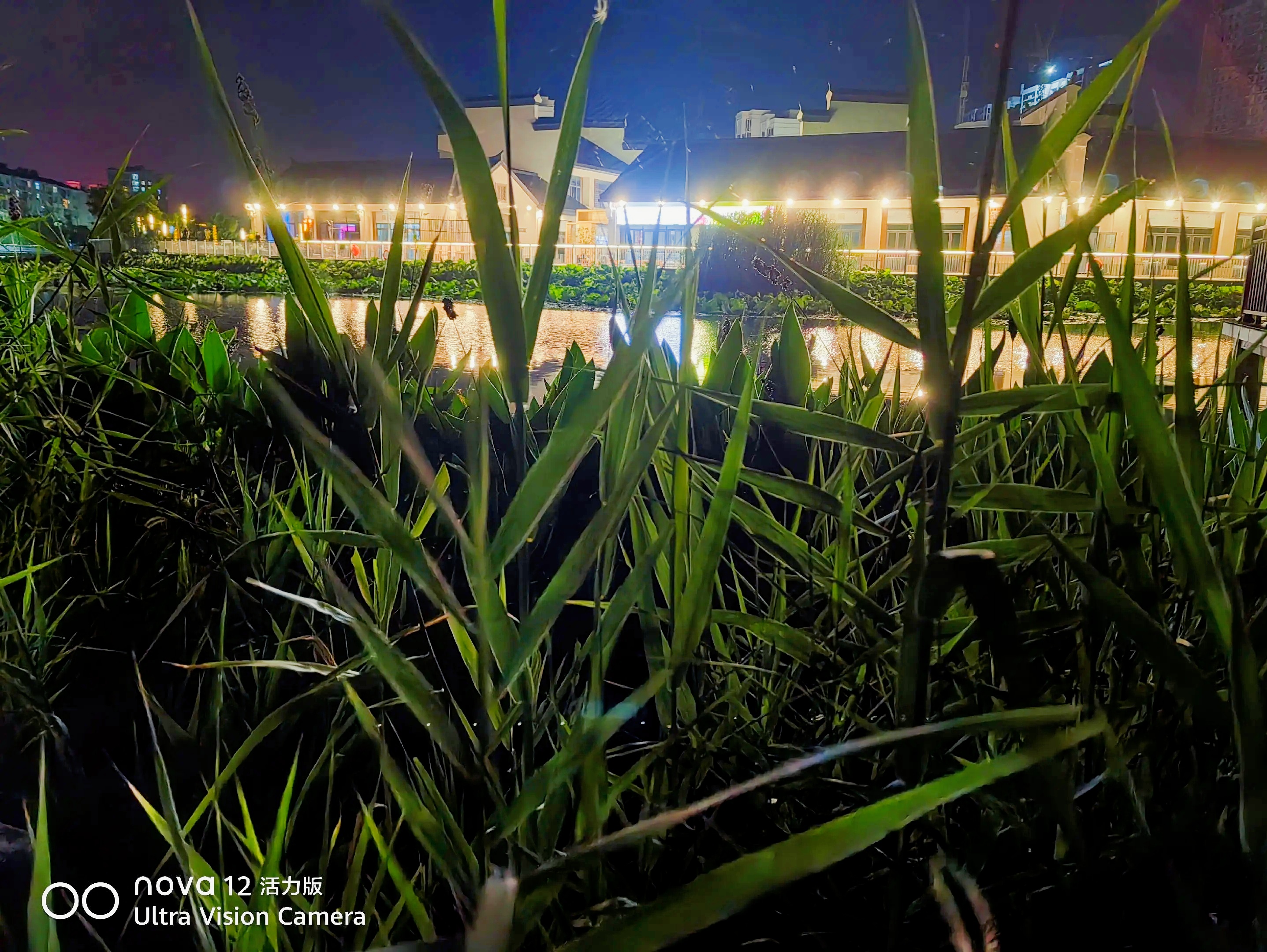 🌿雨后初晴的七里湖,美到窒息!