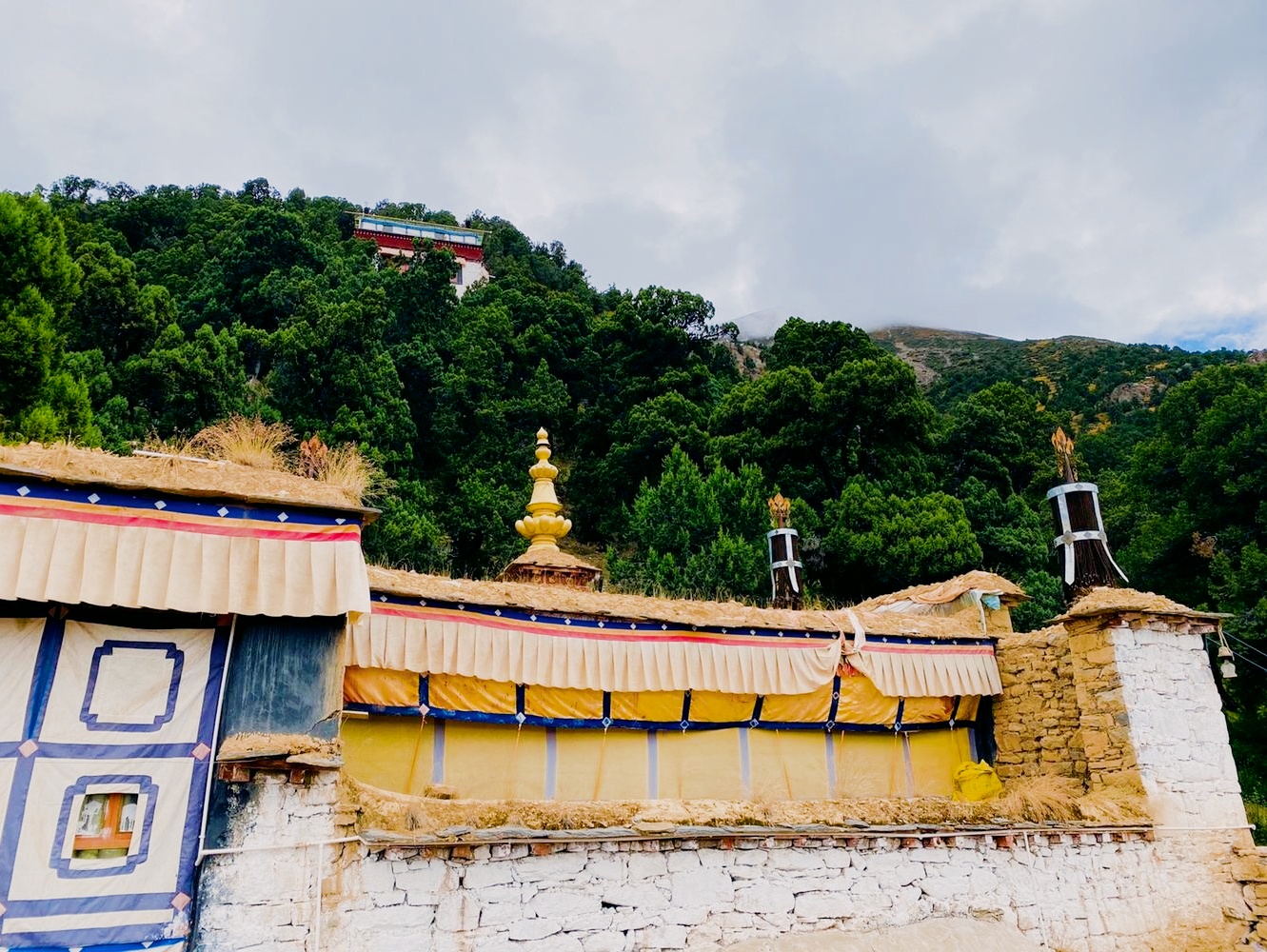 藏地秘境|热振寺的千年古柏与红墙金顶