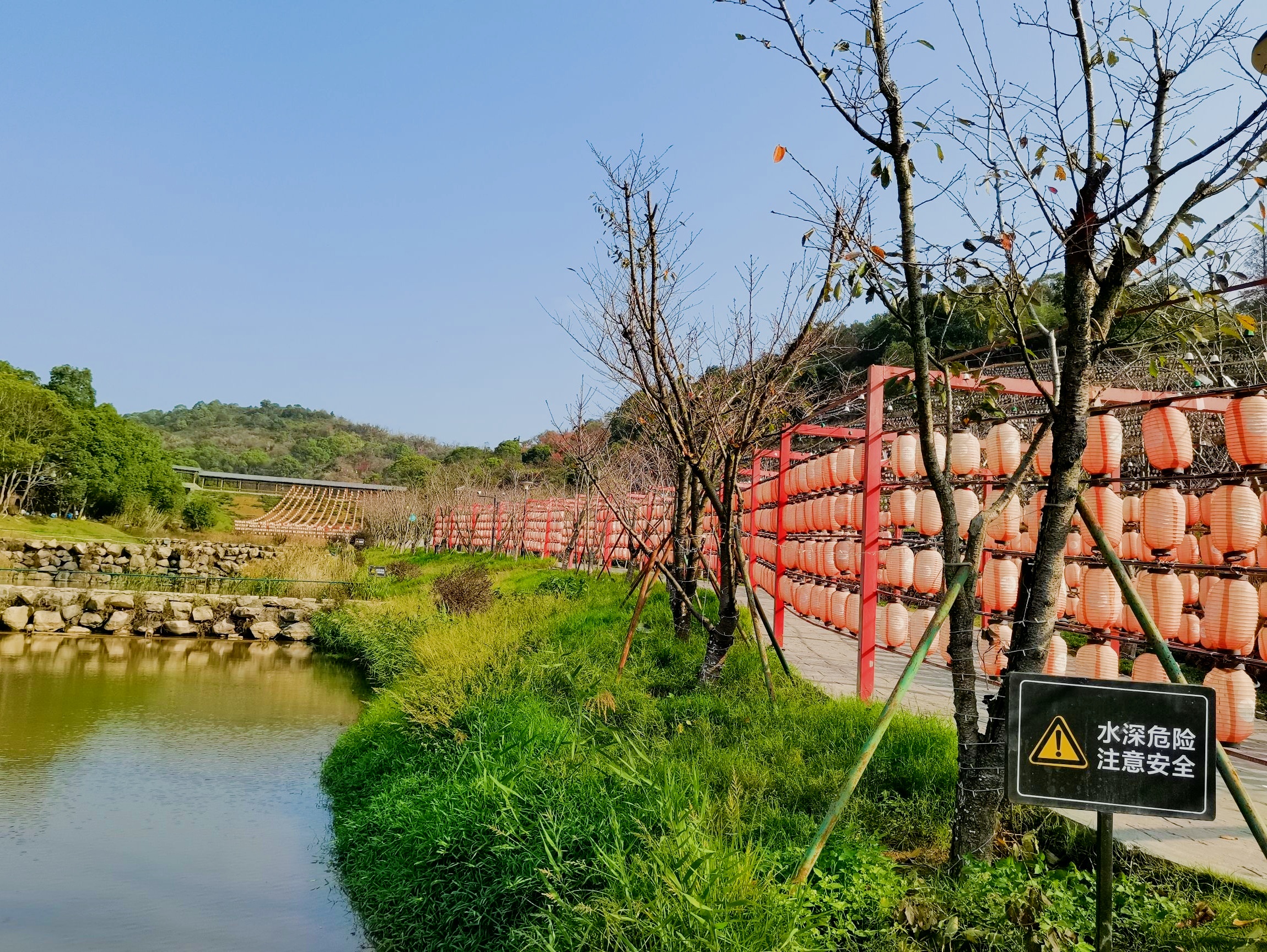 解锁了"野人谷"里的快乐星球