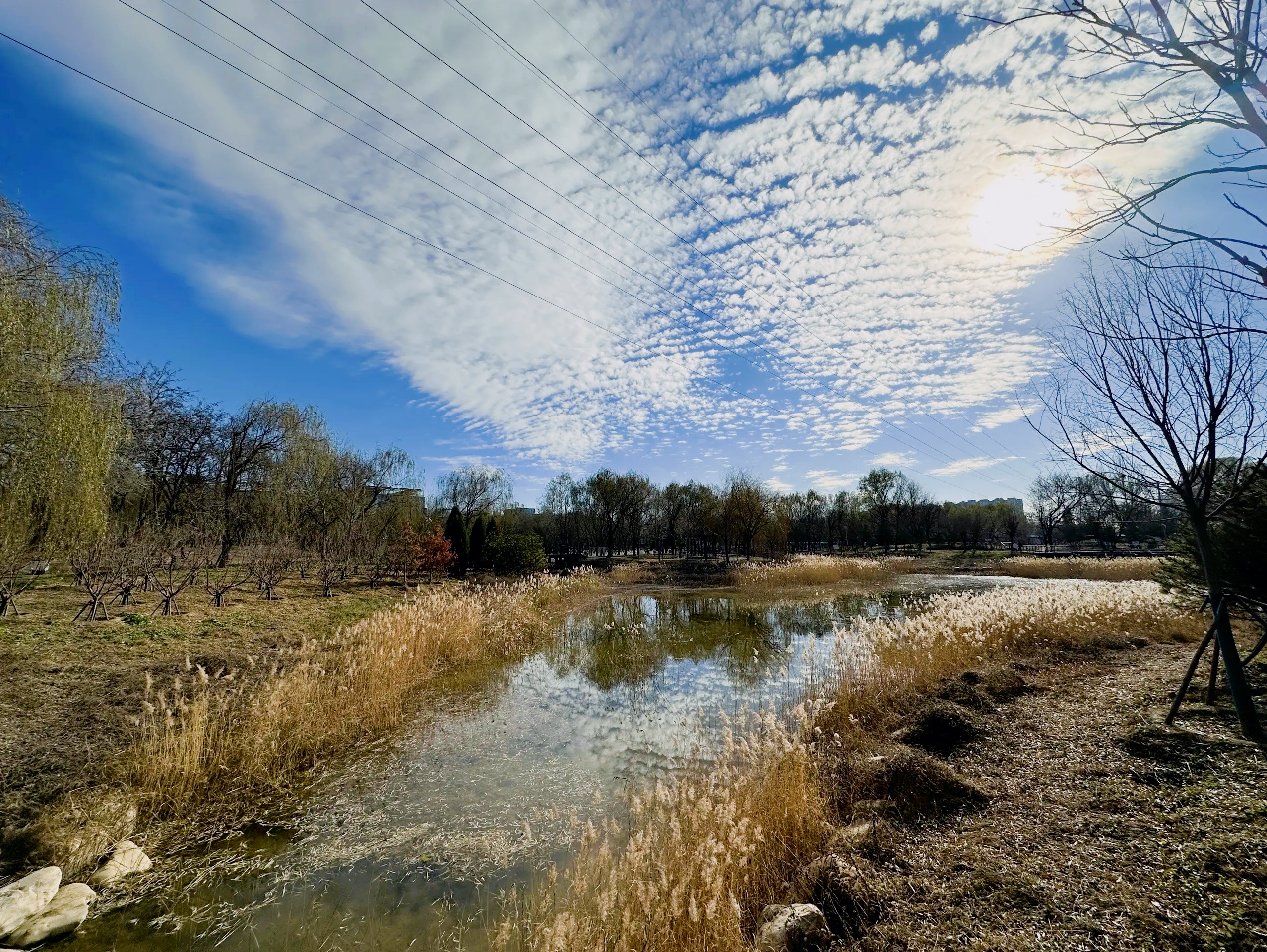 🍂秋日限定!京城森林公园赏花指南