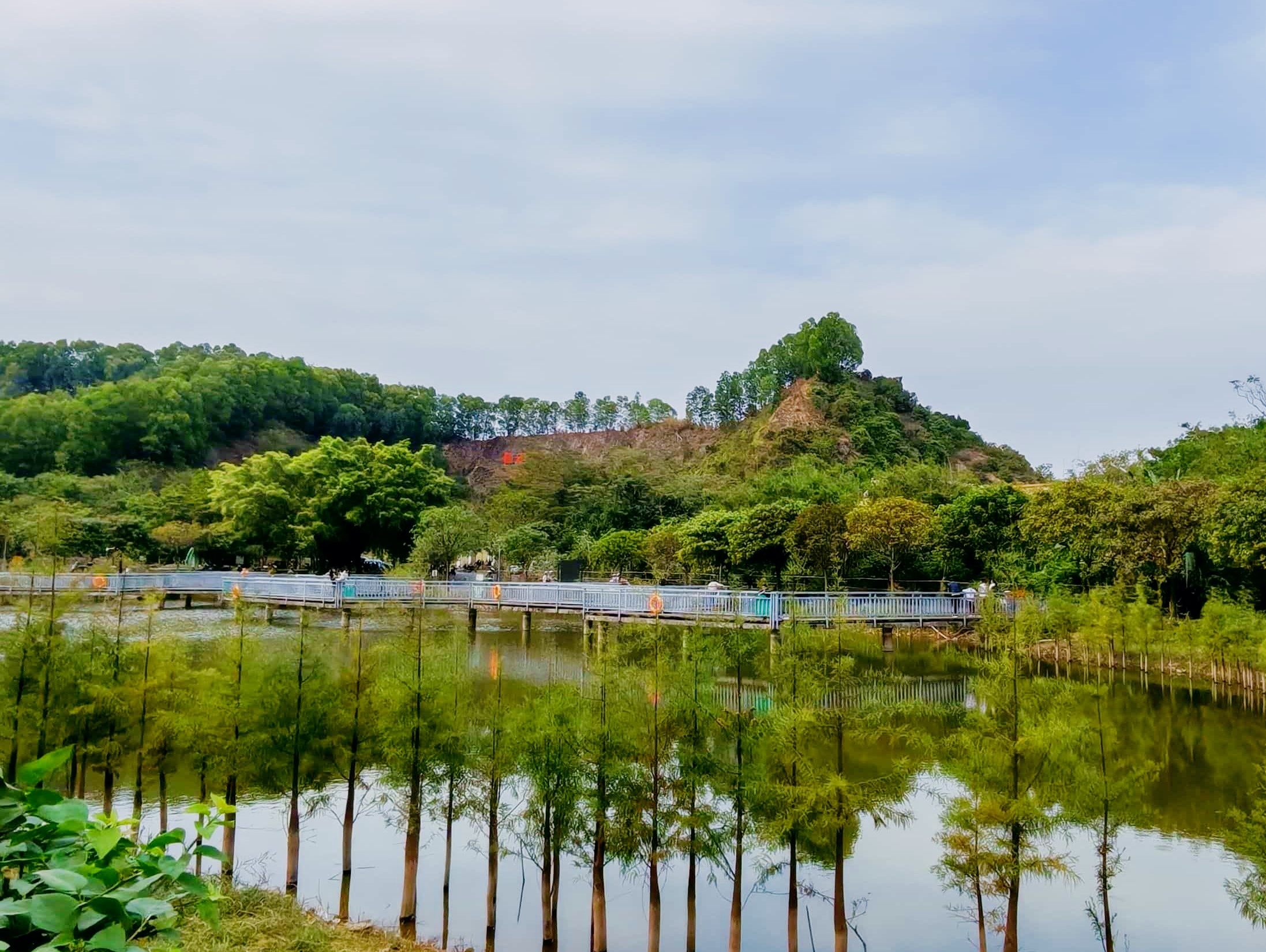 🌿   🌿路线亮点 鲤鱼山生态湿地公园的木质栈道是灵魂!