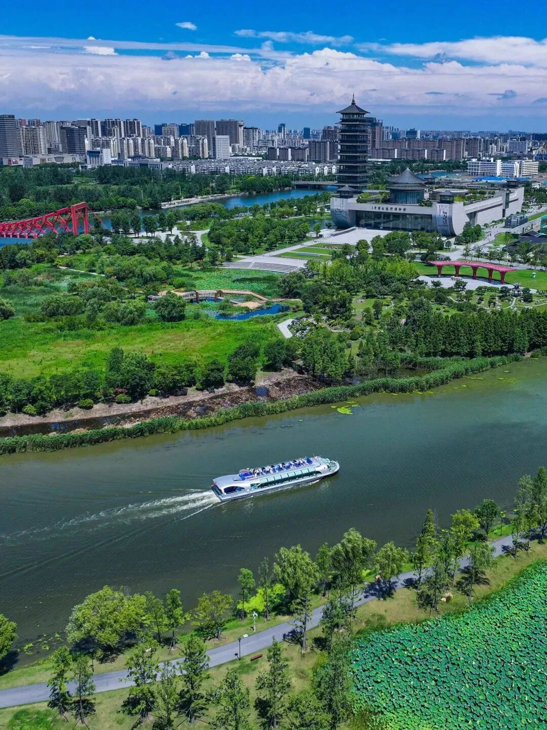 🍂秋日限定浪漫!宿迁运河畔的诗意栖居