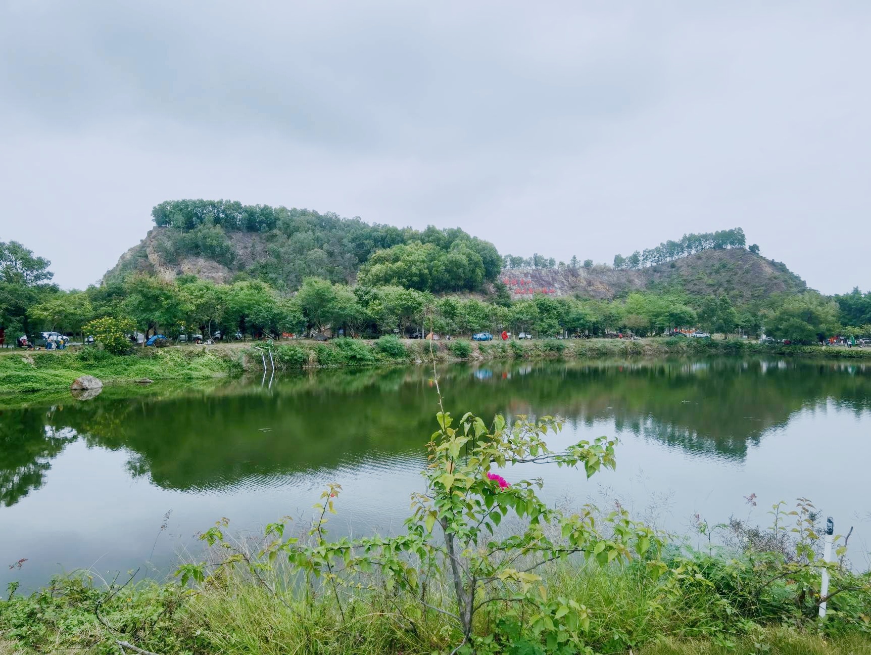 🌿   🌿路线亮点 鲤鱼山生态湿地公园的木质栈道是灵魂!