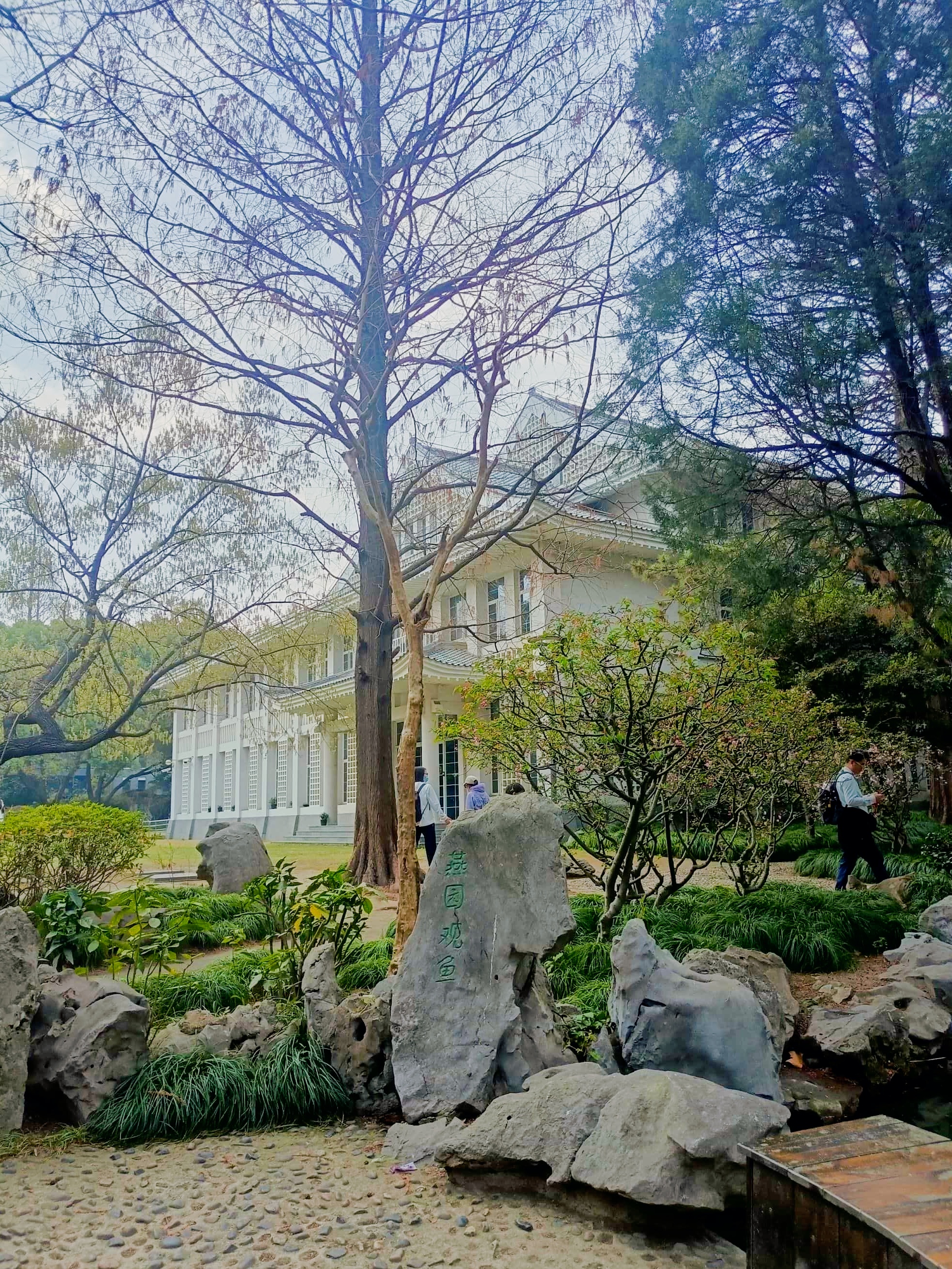 ✨燕园&曦园双园联动 藏在复旦大学里的