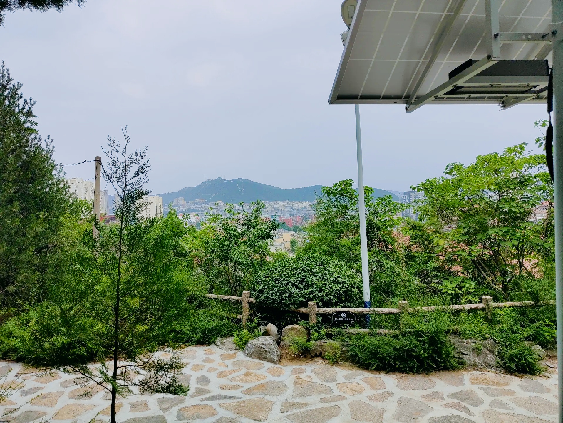 🌿毕业旅行必去!小龟山山体公园的治愈系玩法