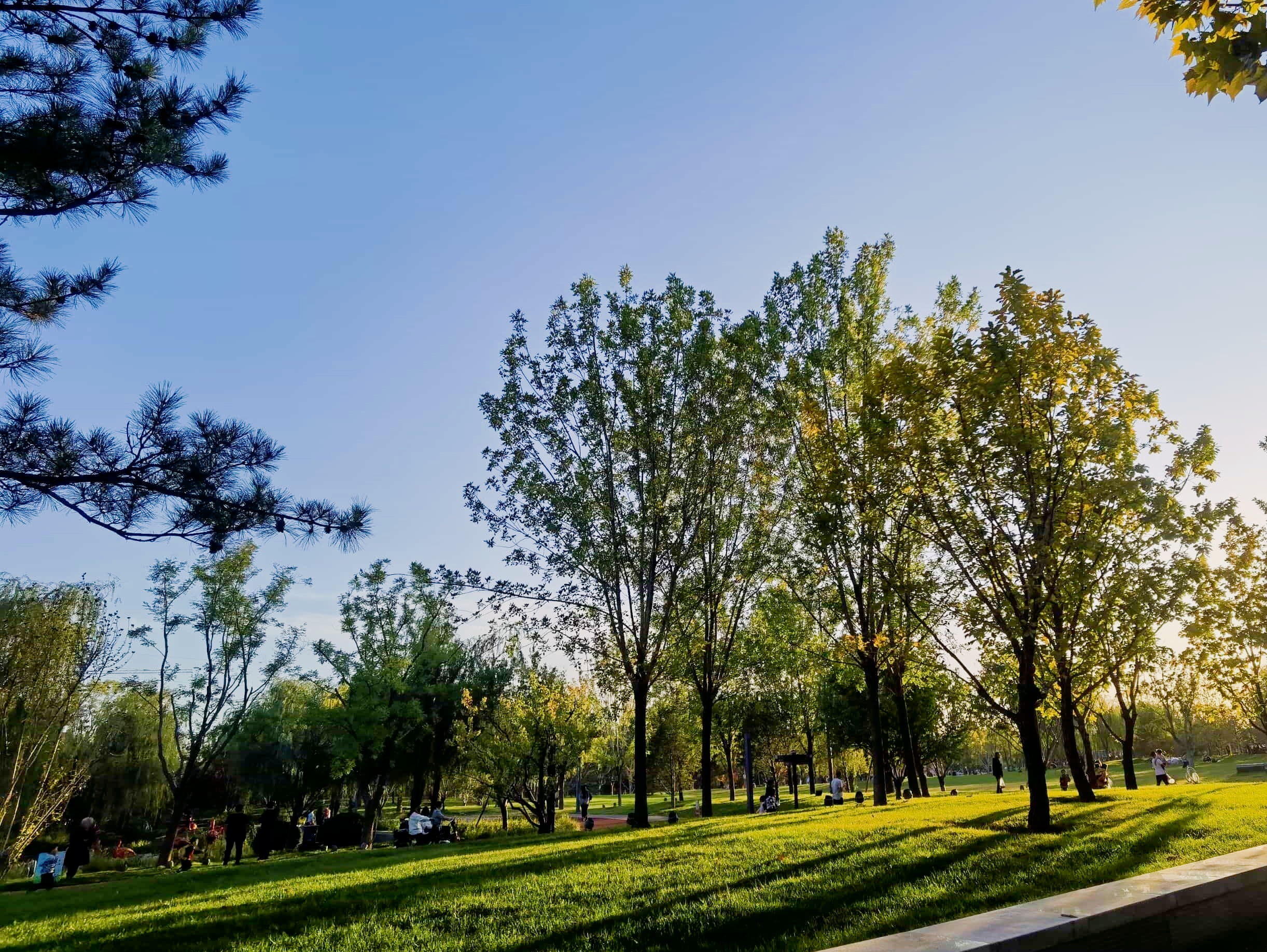 🍁秋日限定!枫林庄园的治愈系打卡地