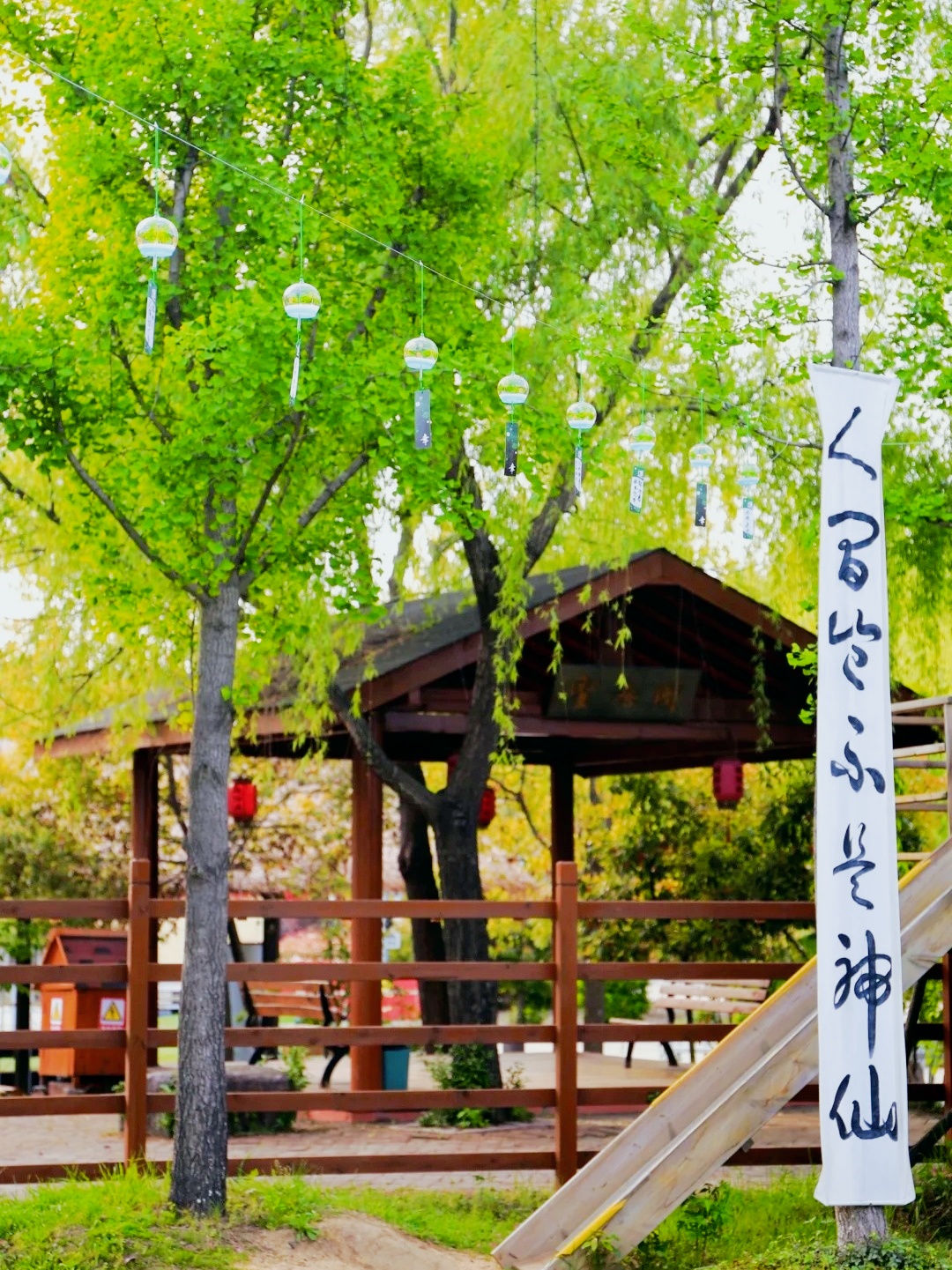 🍂秋日骑行日记