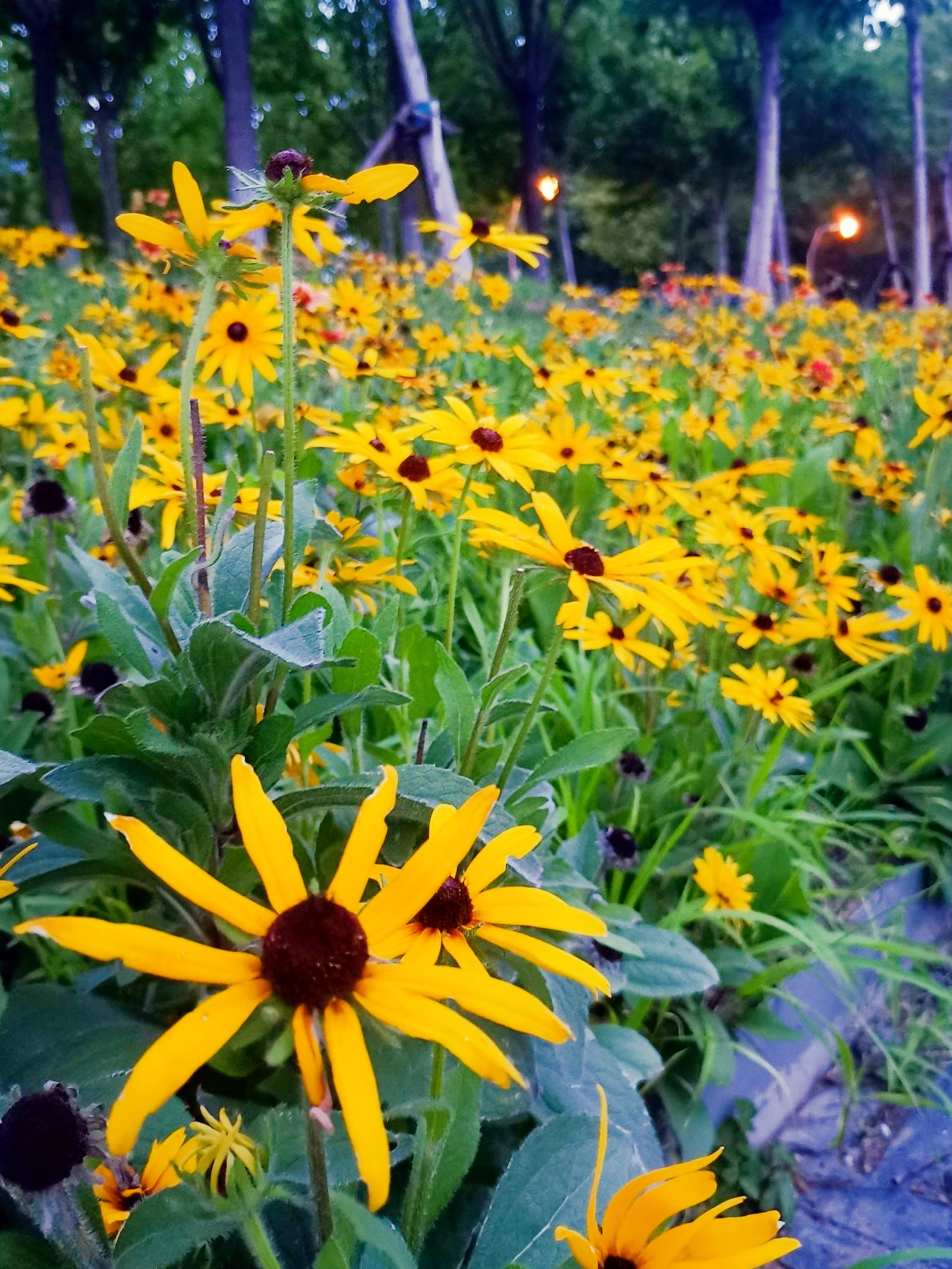 🍁天津小众宝藏地