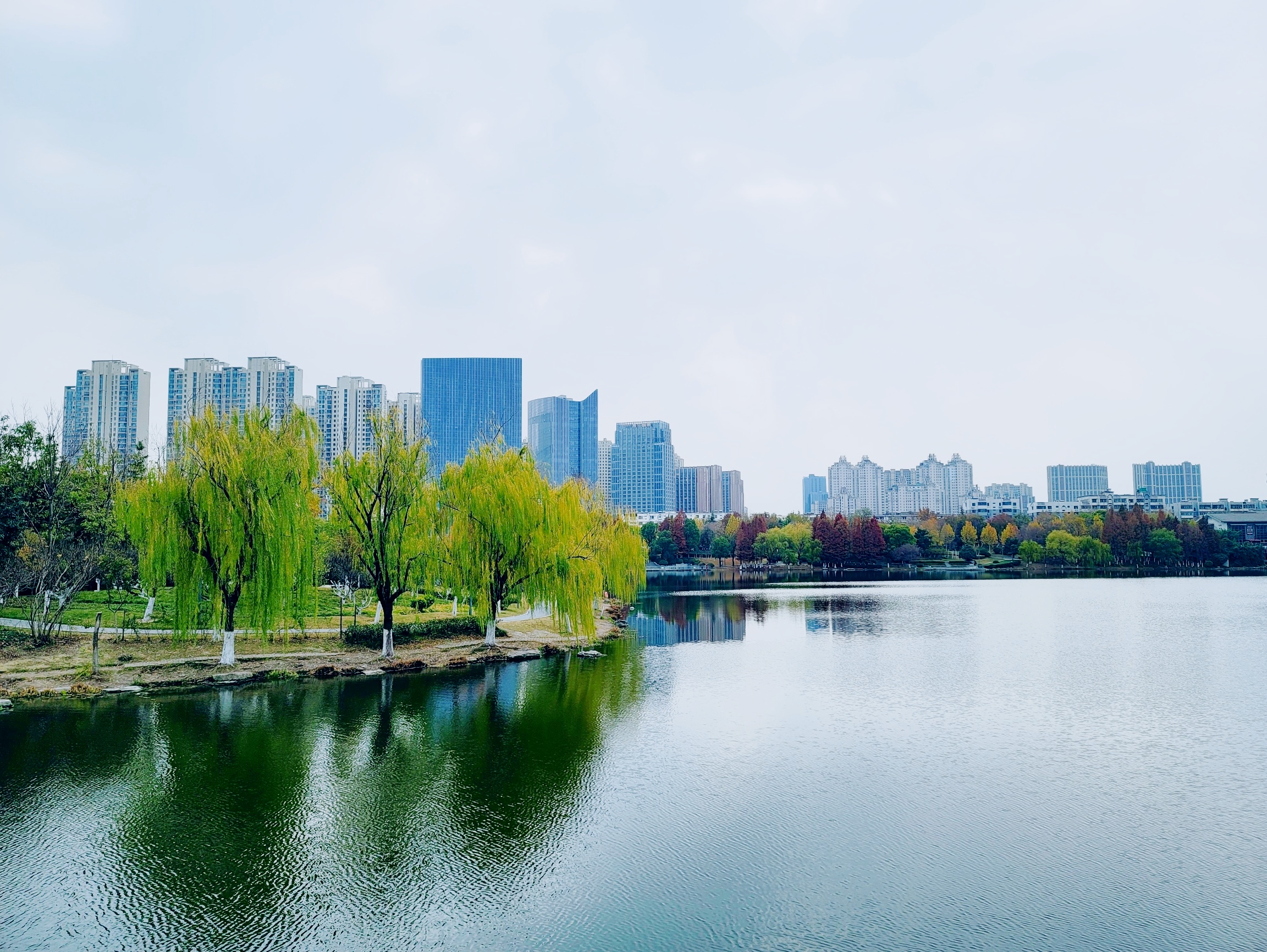 九龙湖攻略(九龙湖风景区怎么玩)