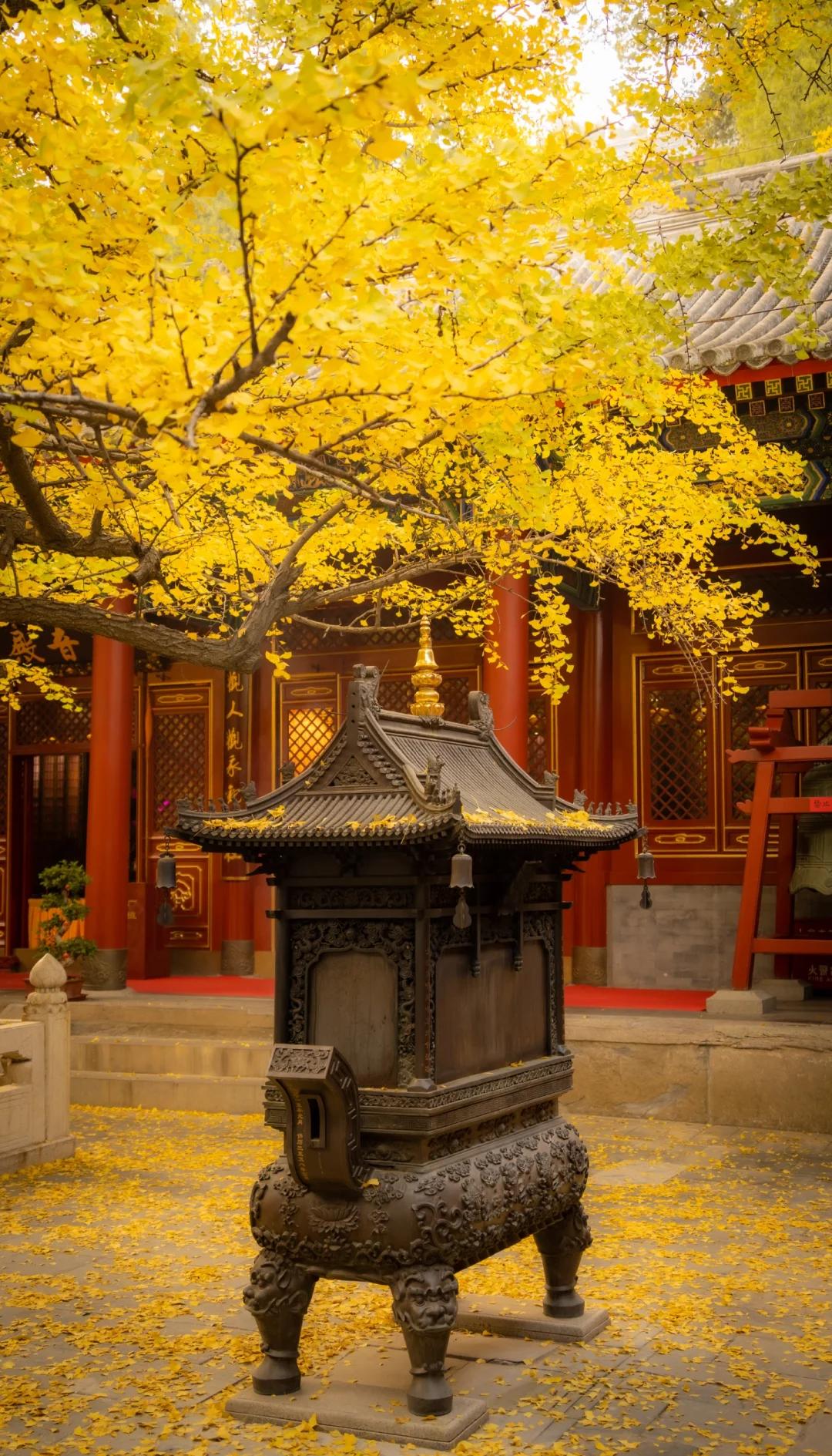 辽宁海城大悲寺超度-海城大悲寺为啥不开了