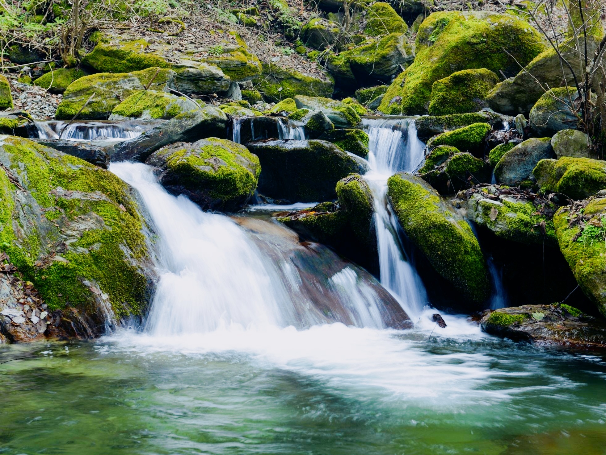 🌿自驾避暑秘境