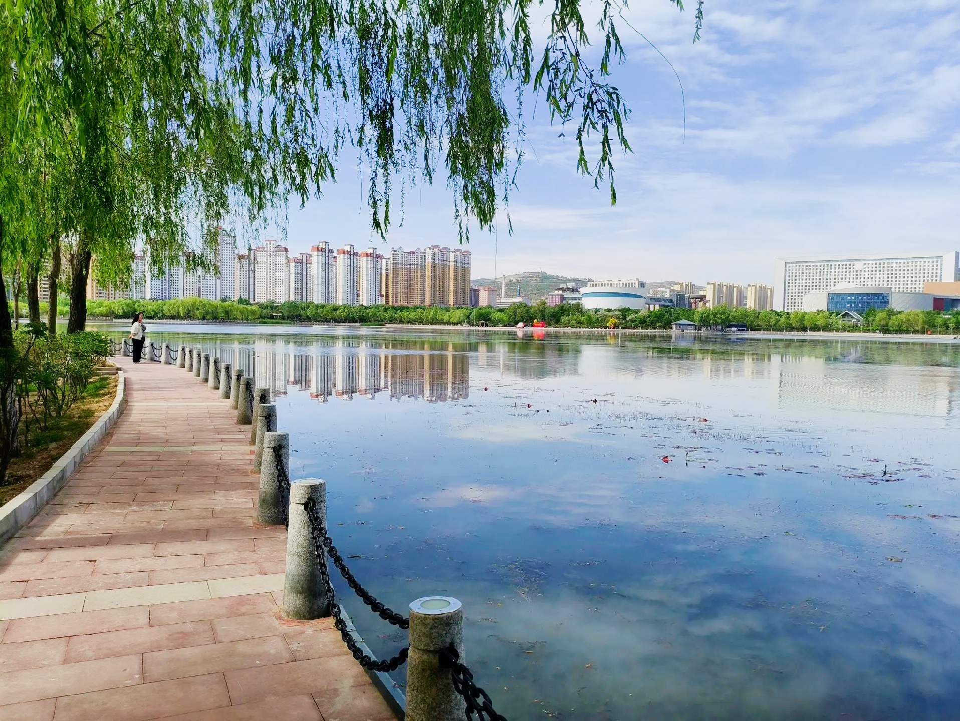 🌸春日限定!定西公园的光影魔法