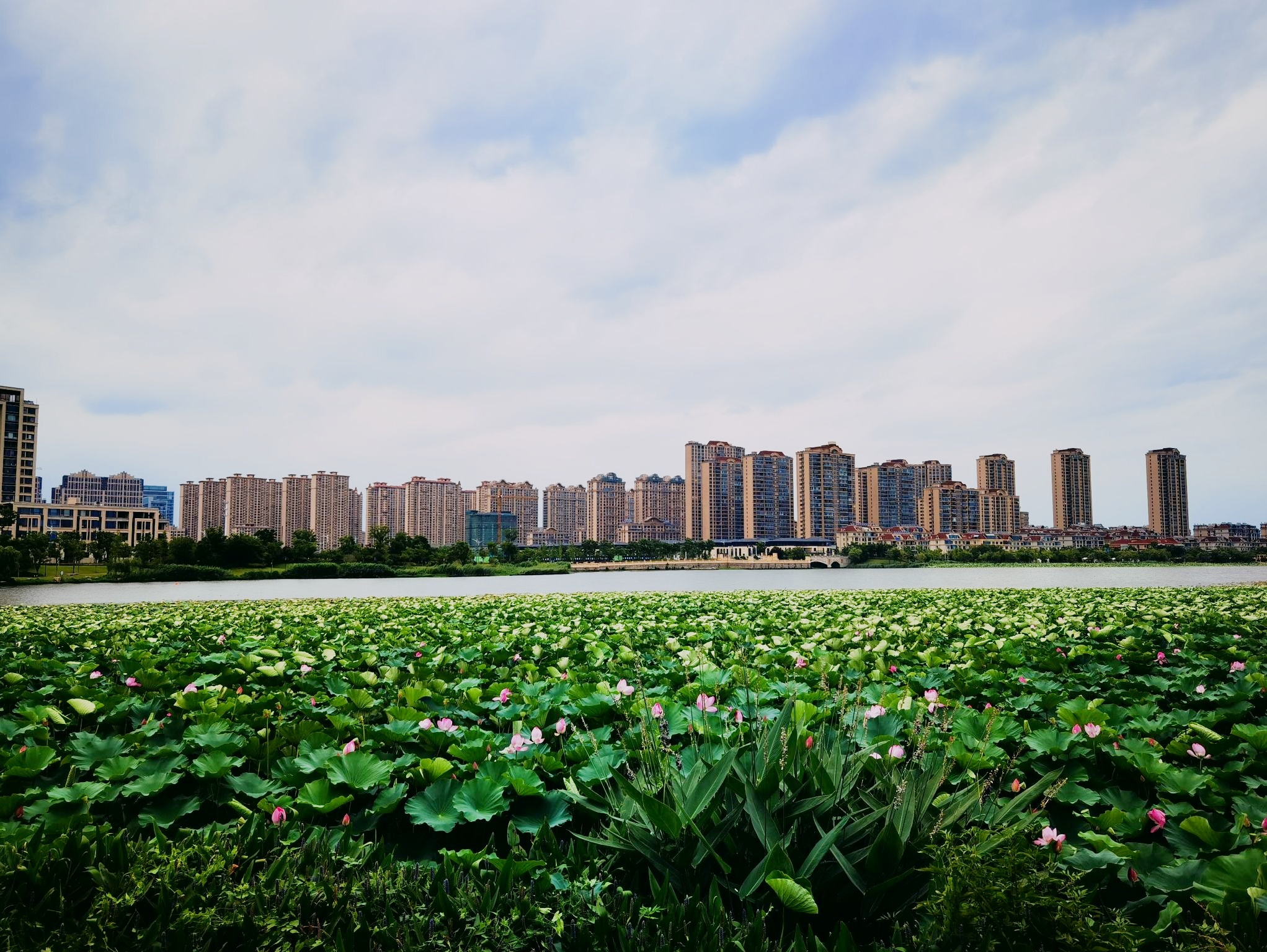 香榭湖风景区 泰兴香榭湖公园景区是片融合了诗意与自然的胜景