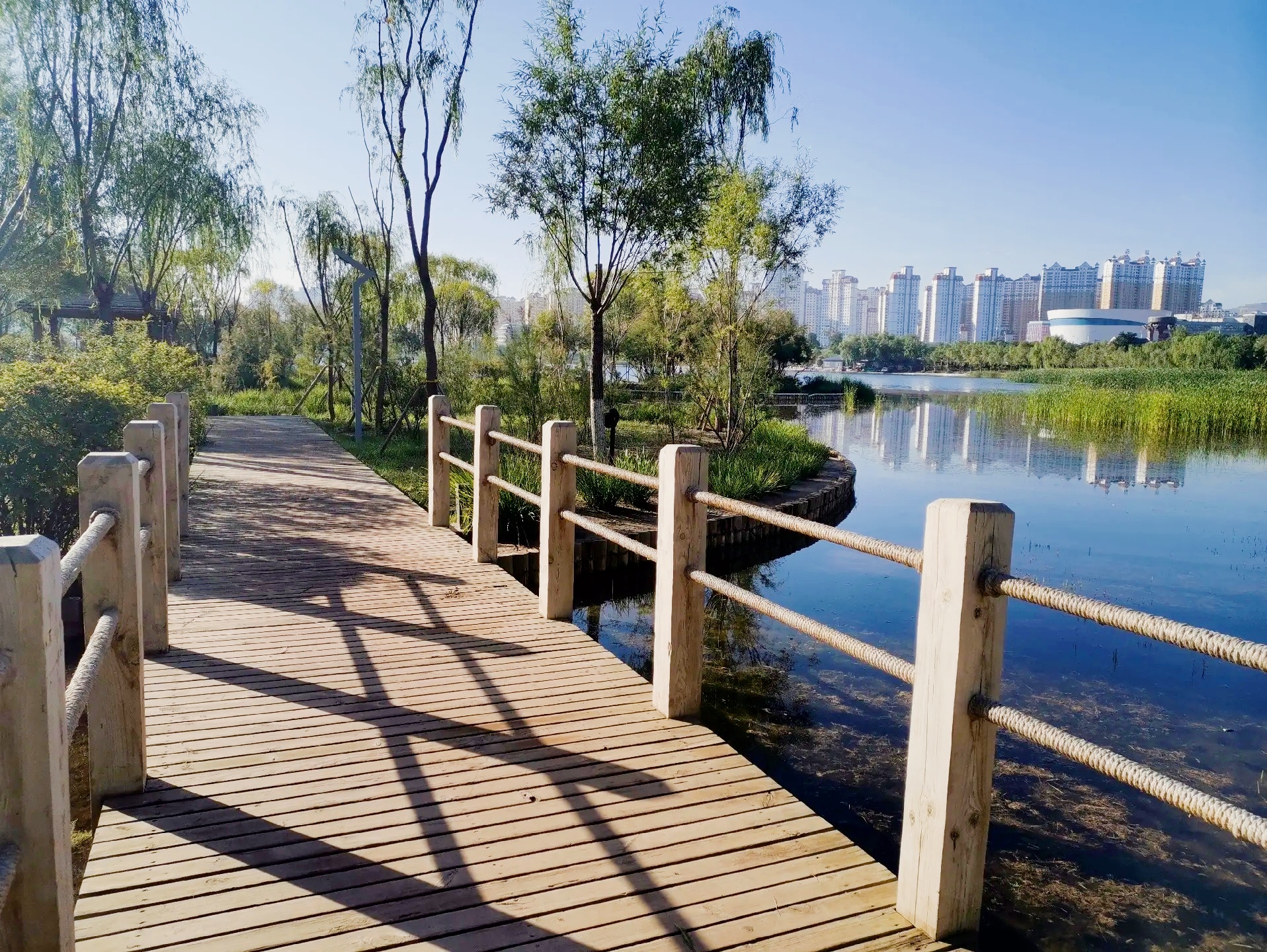 🍂秋日限定!定西公园的治愈系秋景指南