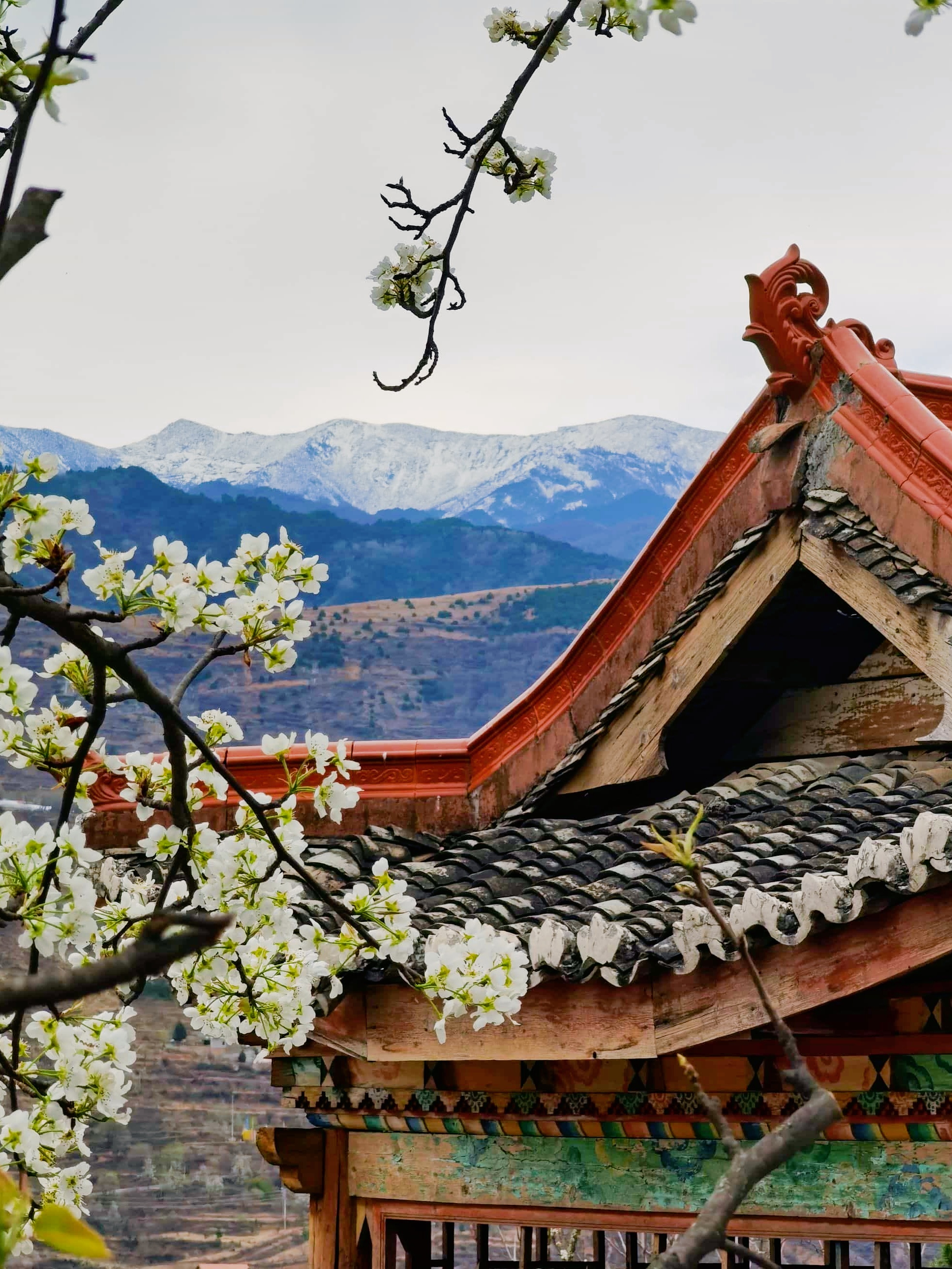 🌸逃离人潮!神仙包景区的摆烂式旅行指南