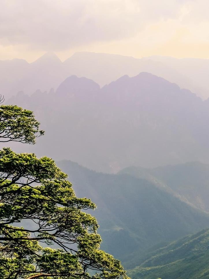 广西瑶山风景形容图片