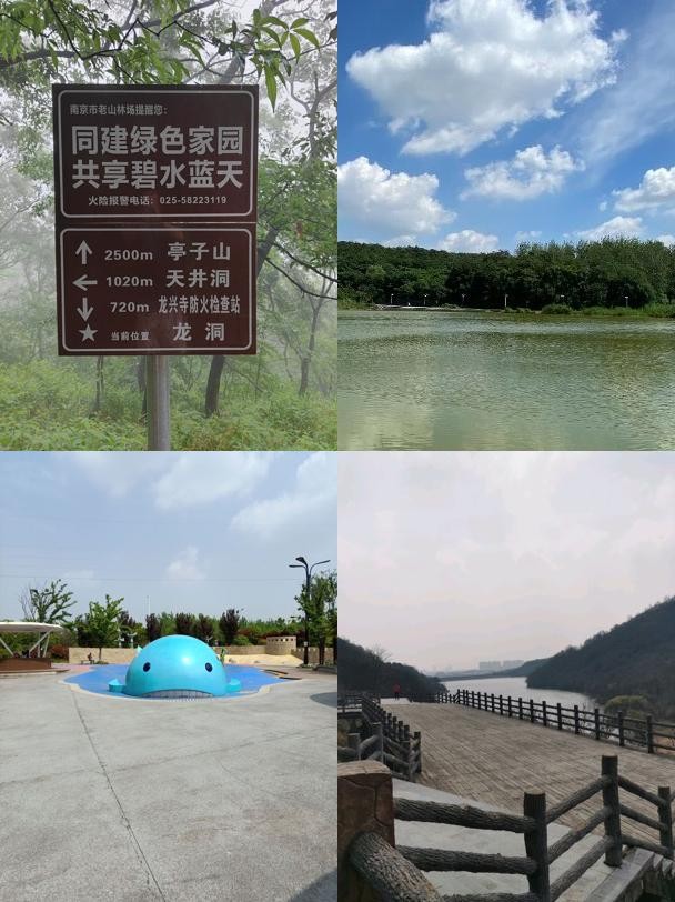 尽享清凉之乐  地址:江苏省南京市浦口区 2龙王山风景区 这里有藏龙穴