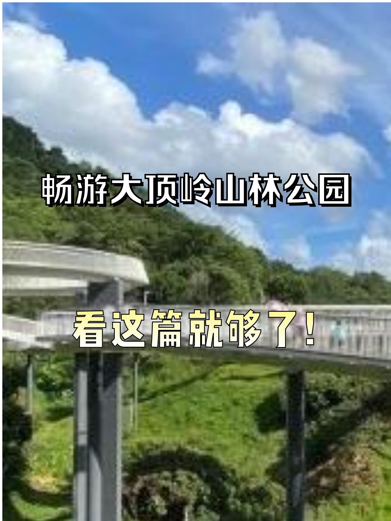 大顶岭山林公园,一个藏在城市里的绿野仙踪99