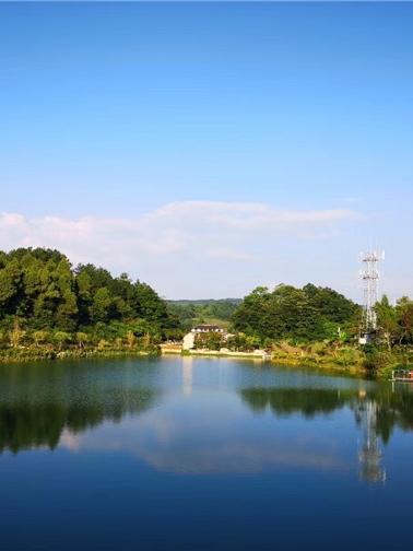 凤冈九龙山风景区图片