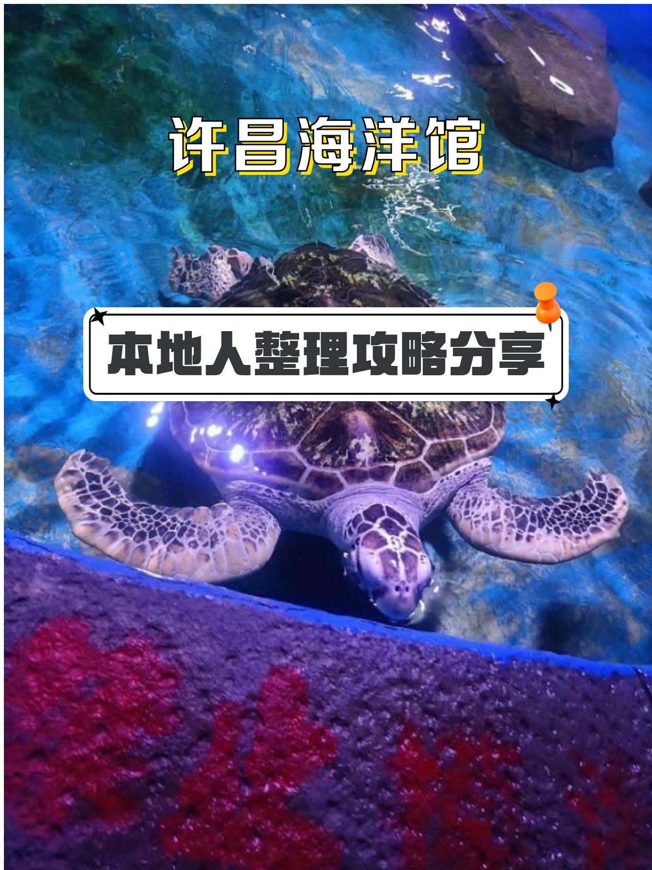 许昌海洋馆团购票图片