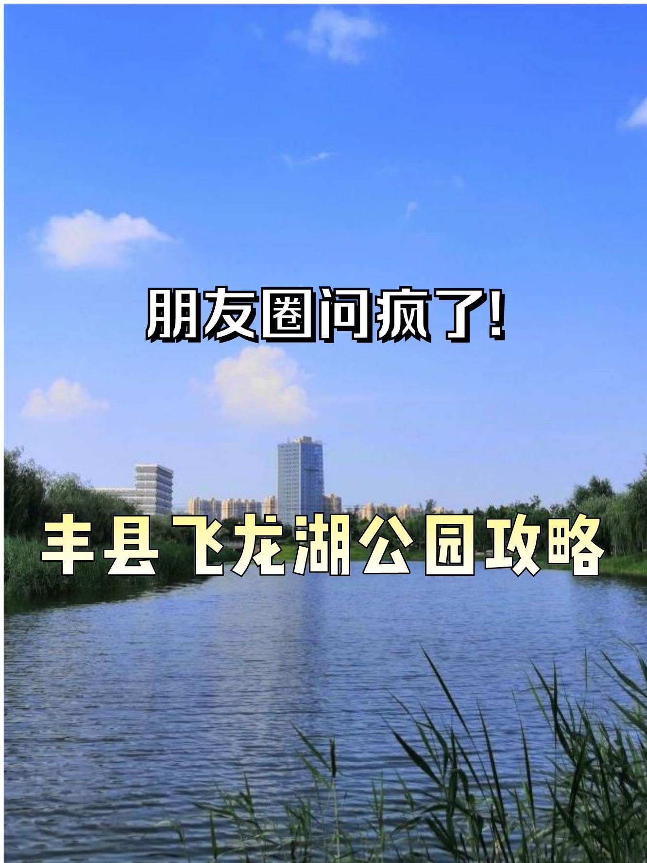 丰县飞龙湖景区介绍图片