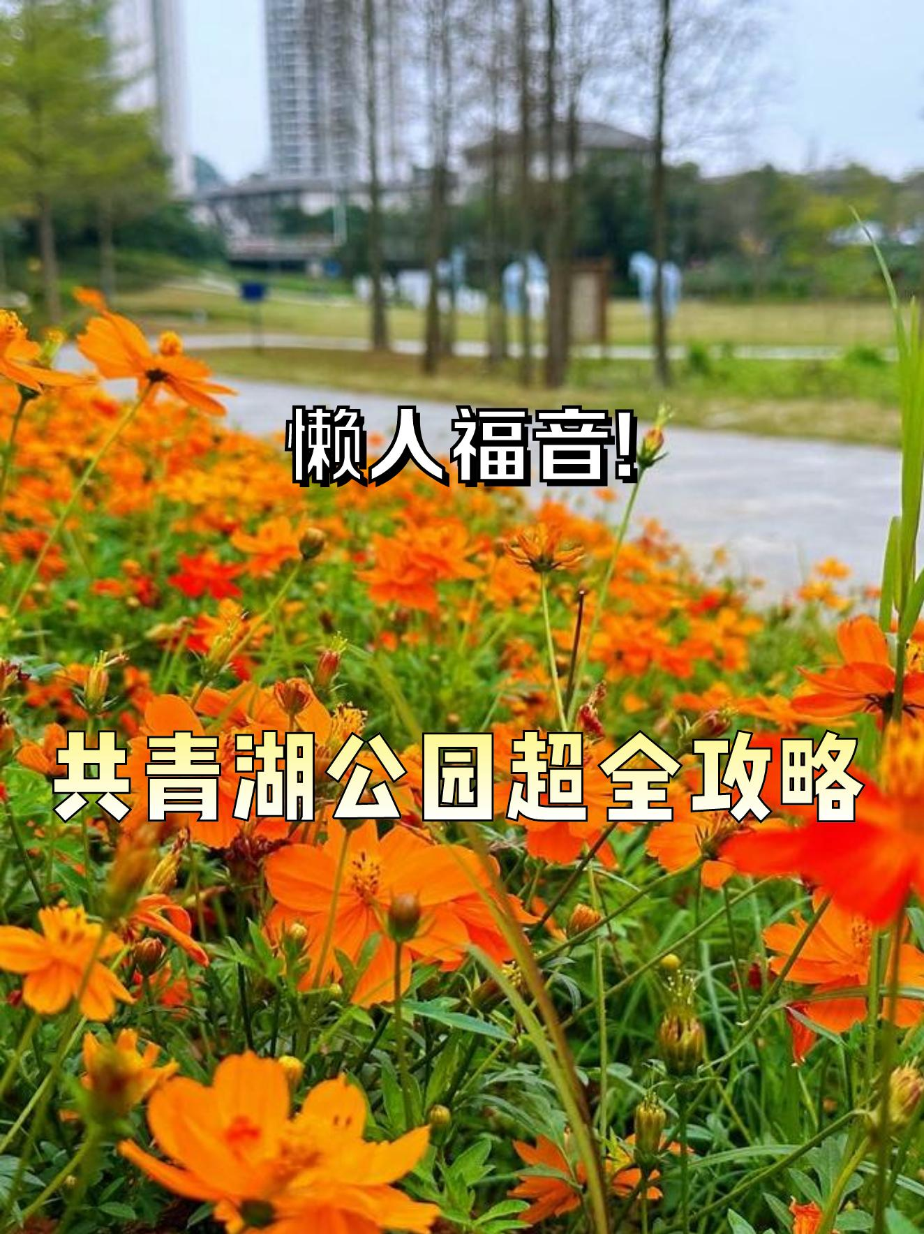 共青湖公园图片