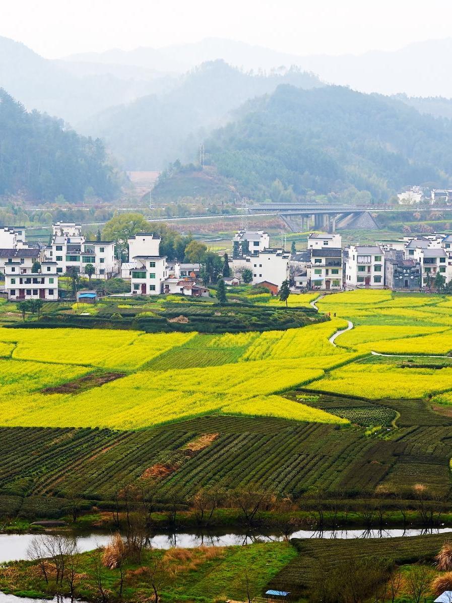 韶关油菜花海观赏时间图片