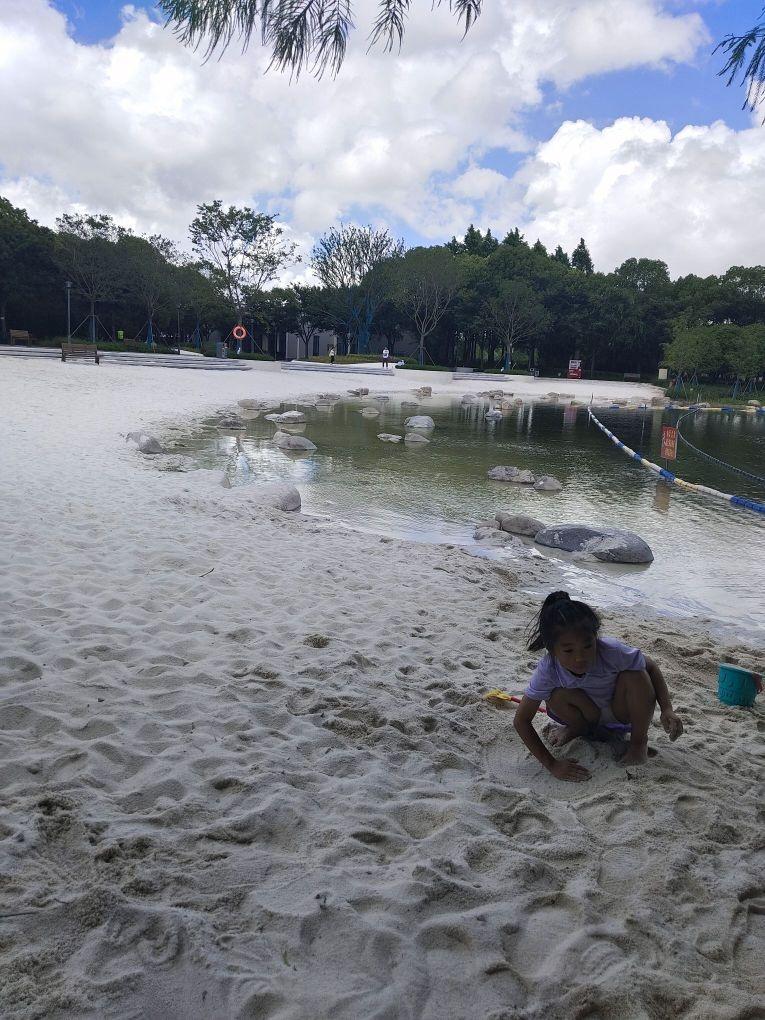 浦东金海湿地公园门票图片