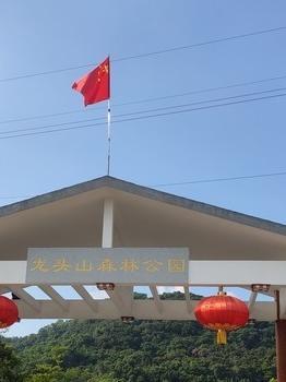 广州龙头山森林公园图片