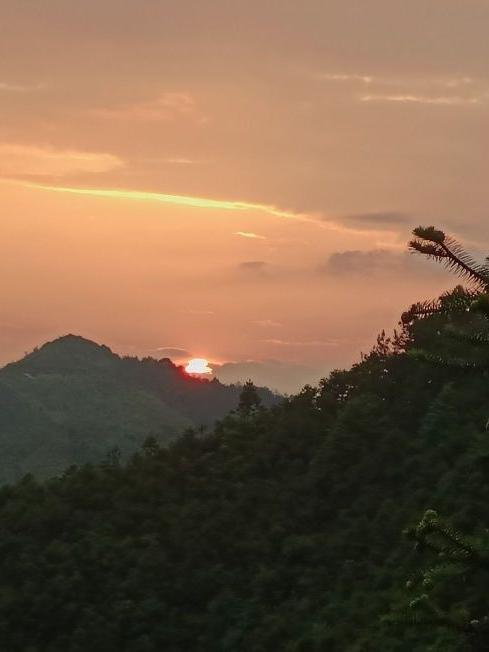 泰顺龟湖一日游图片