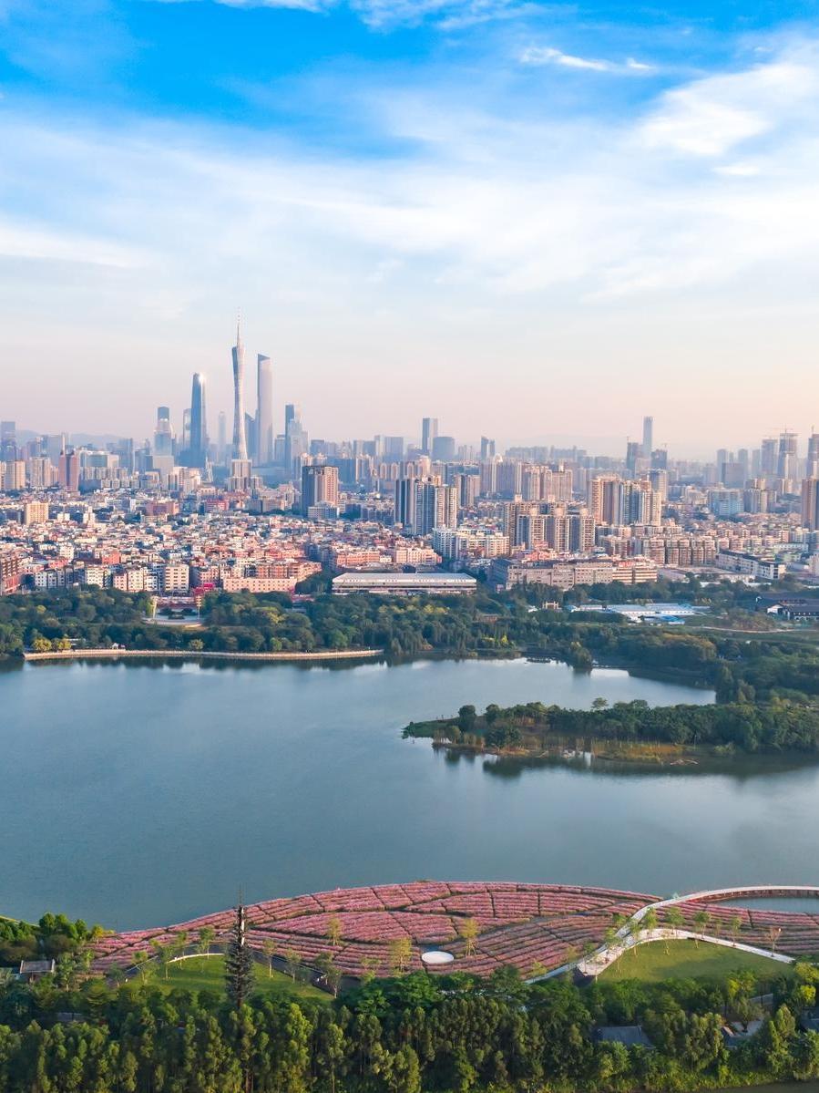 广州海珠湖风景图片