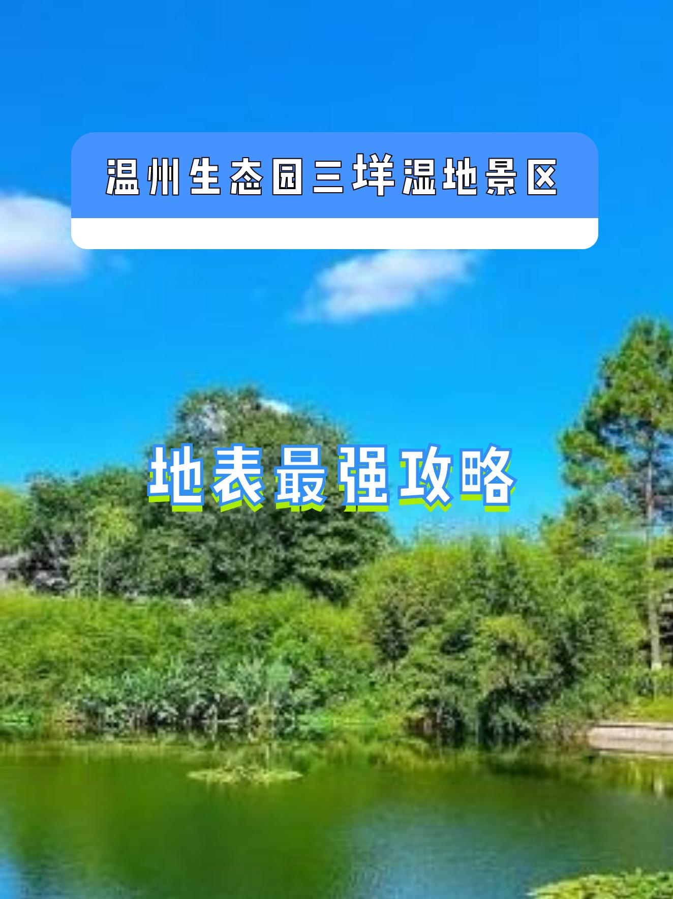 温州三垟湿地游记图片