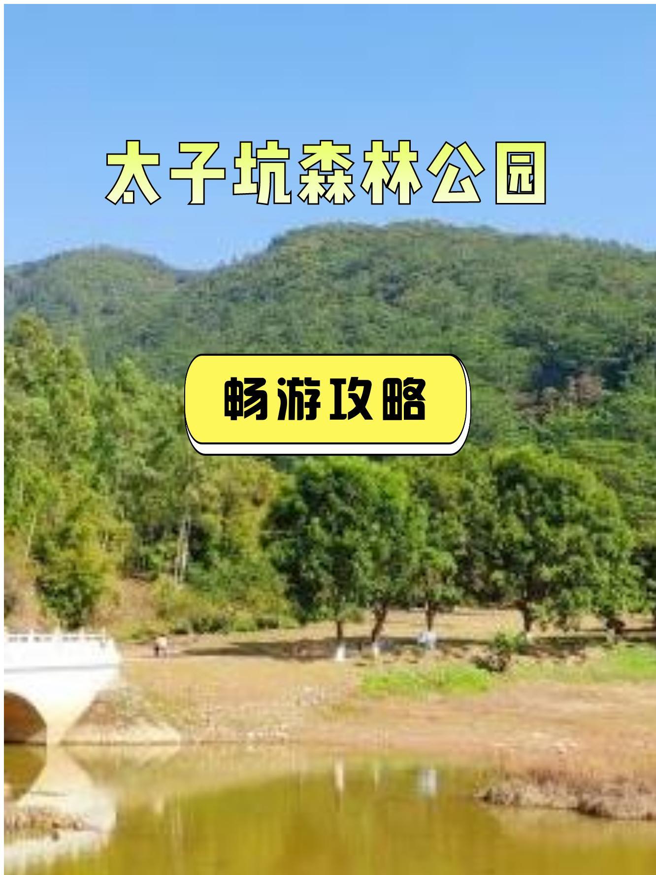 太子坑森林公园,一处集爬山,玩水,赏景于一体的宝藏地,等你来探索!