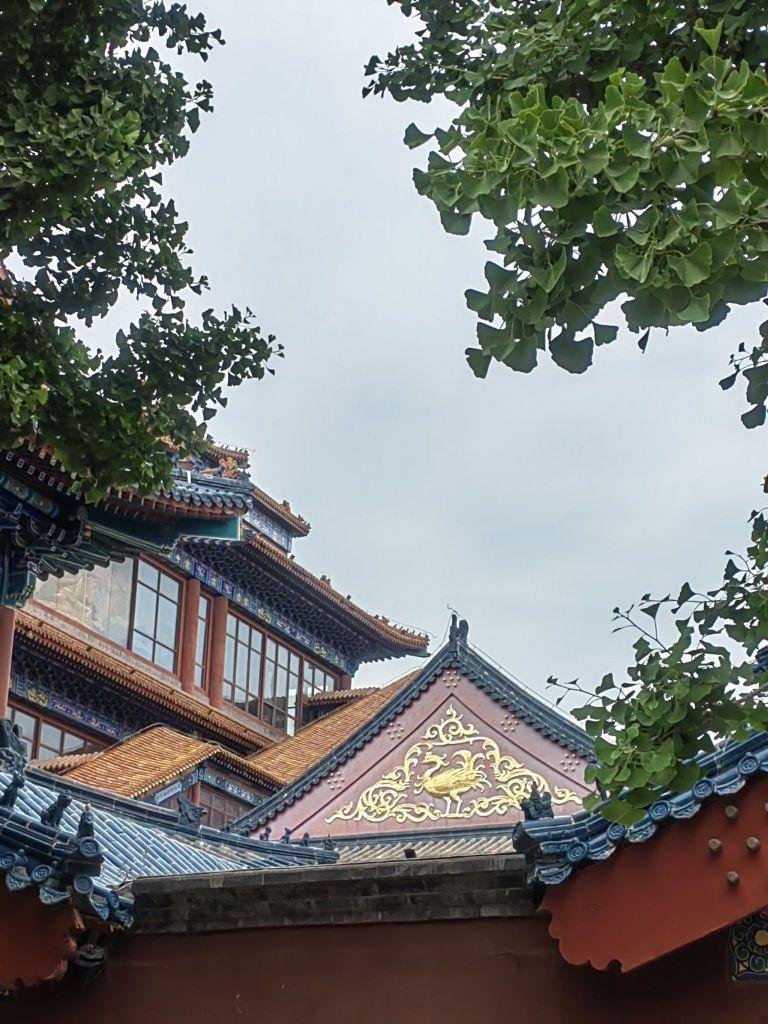 香河大安寺图片