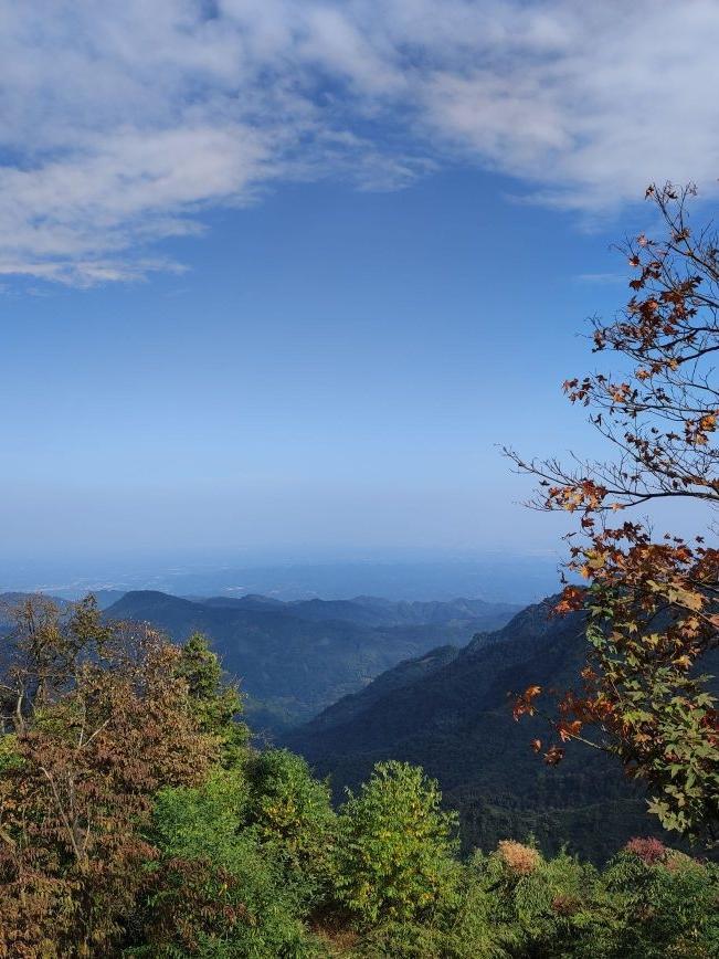 大邑雾中山看花图片