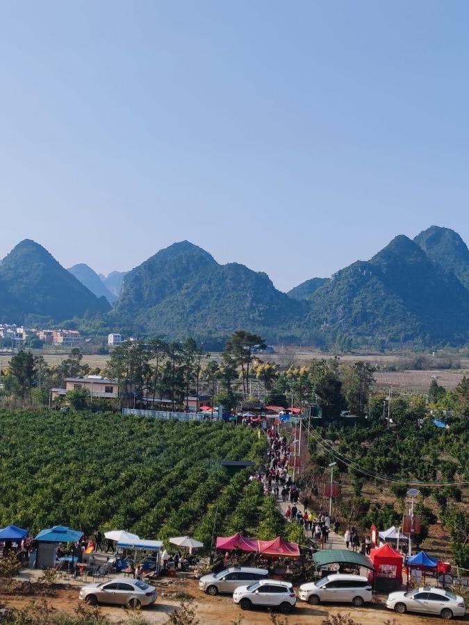 覃塘灵龟宝山门票图片