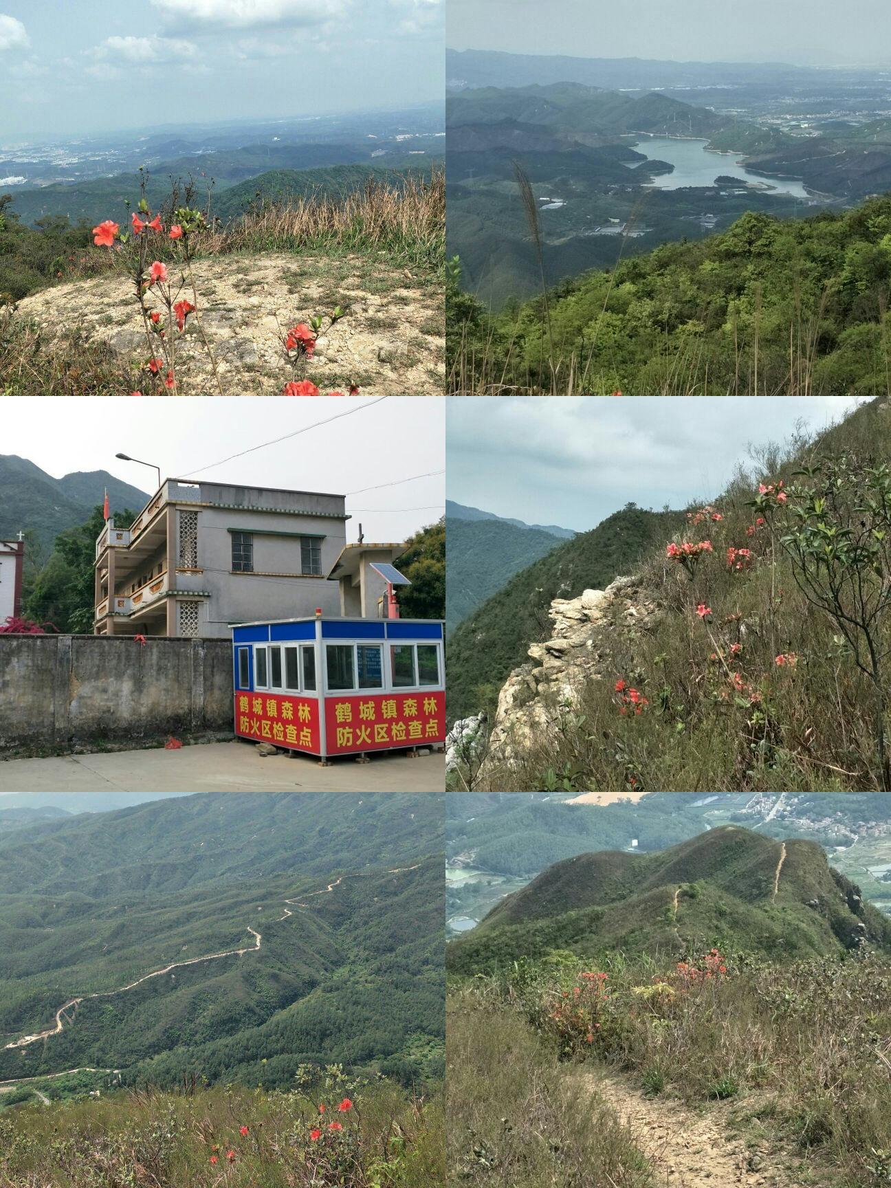 鹤山八景山庄图片