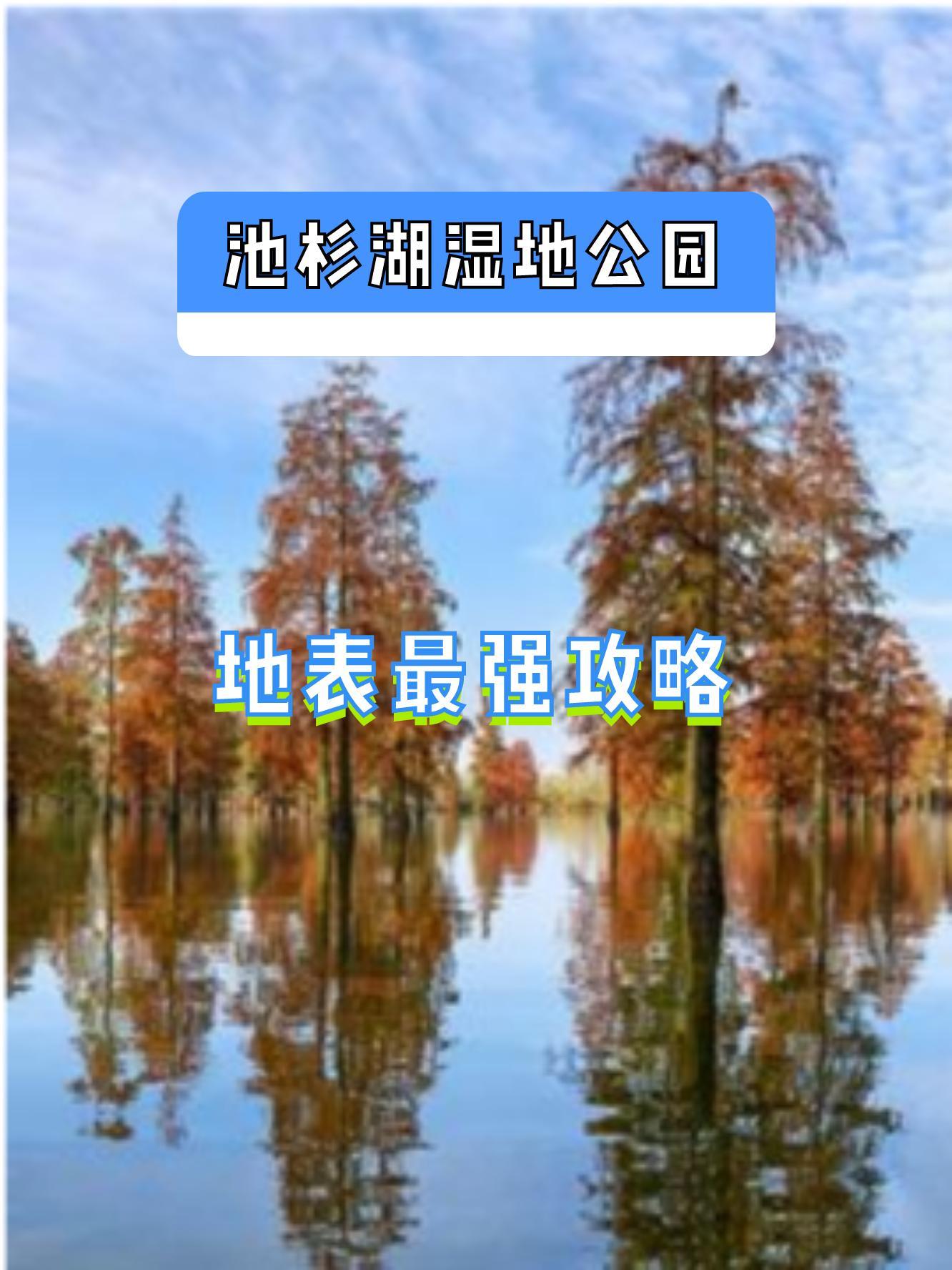 池杉湖湿地公园介绍图片