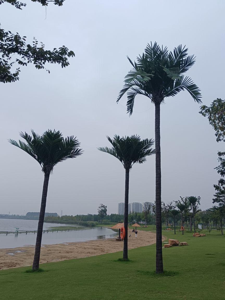 名称 上湖沙滩 地址 江苏省南通市海安市滨湖路与学贤街交叉口西南