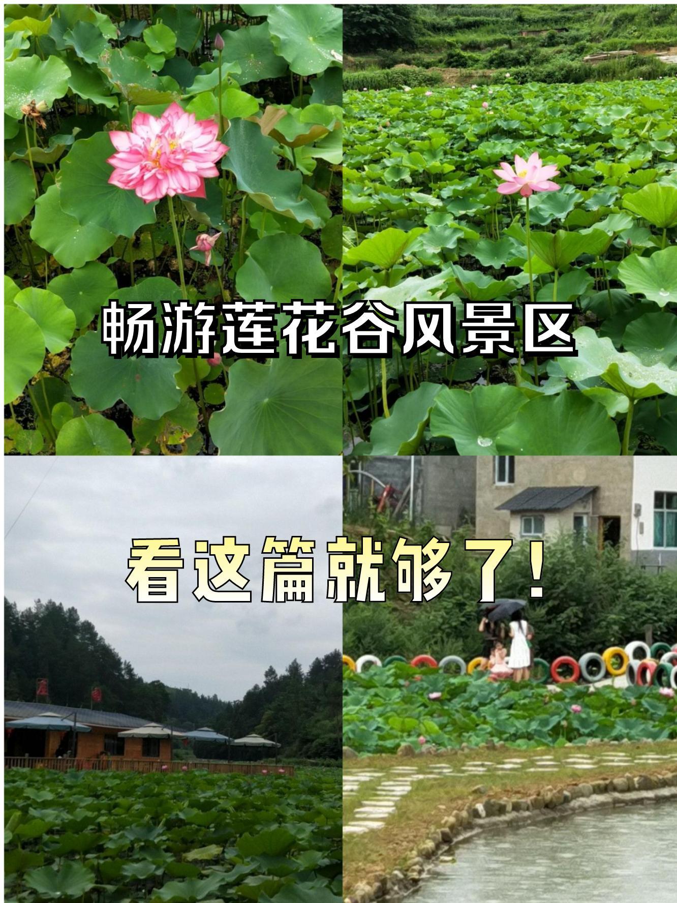 江西莲花县简介图片