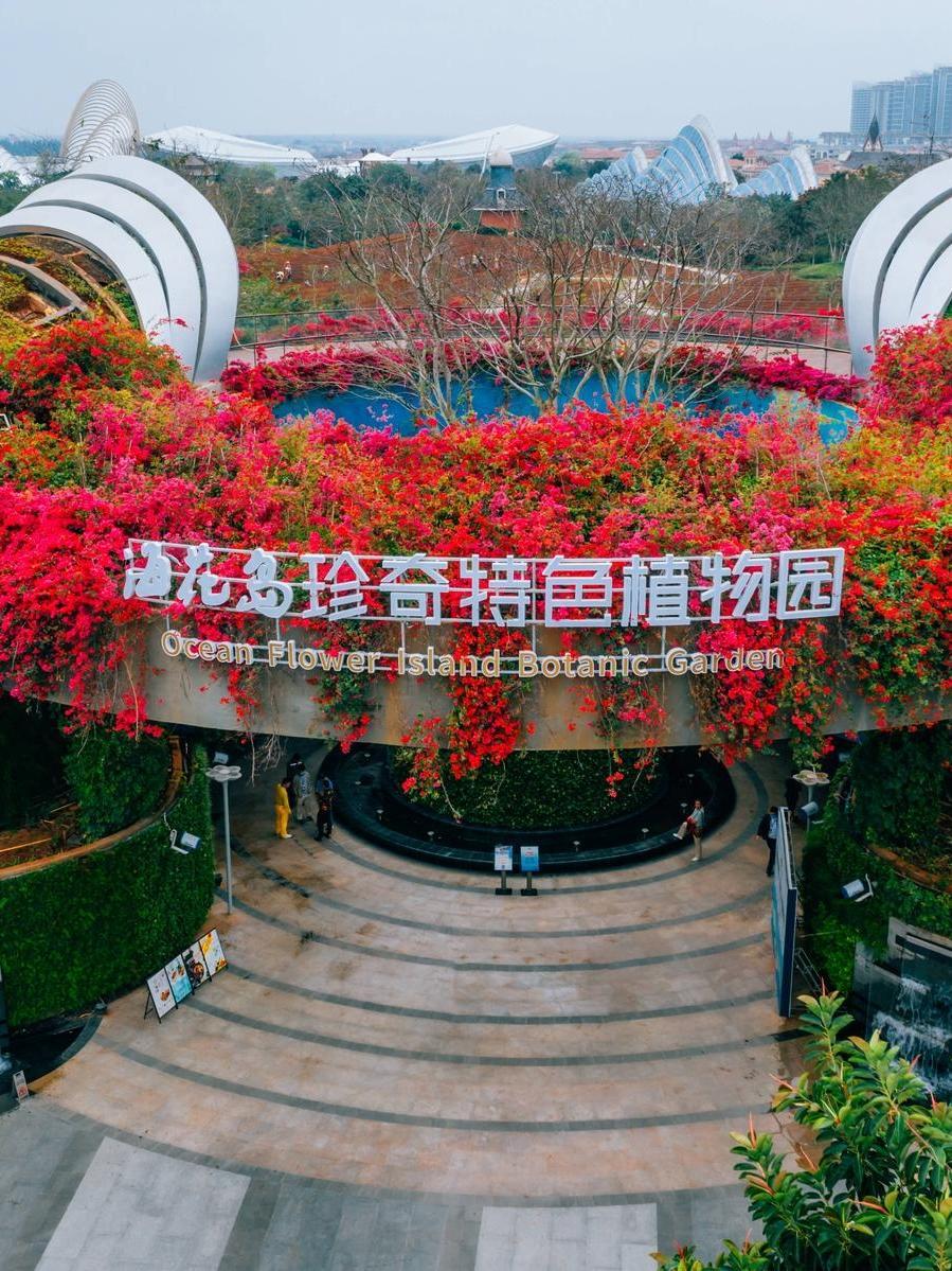 海花岛珍奇特色植物园图片