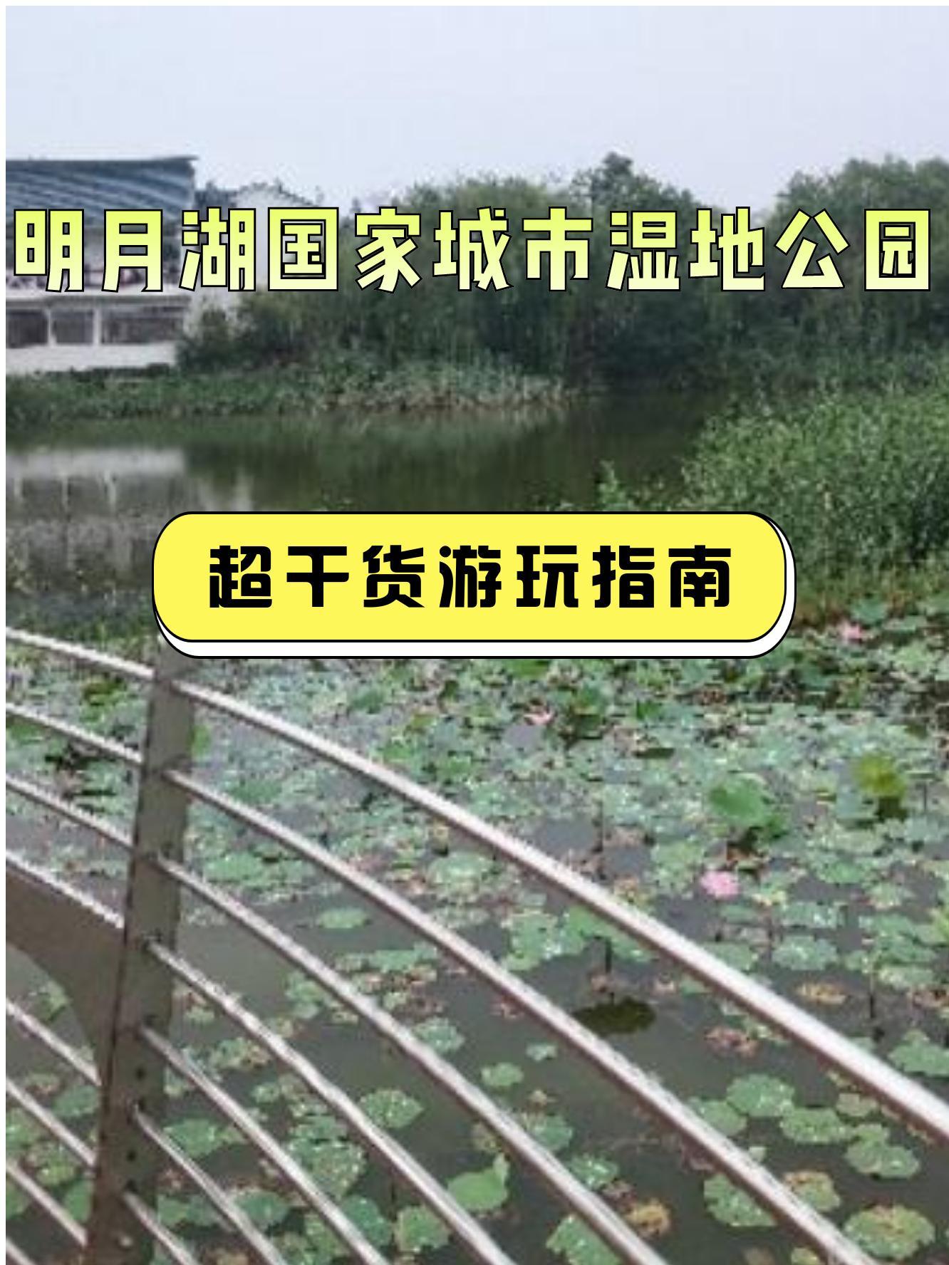 明月湖国家湿地公园图片