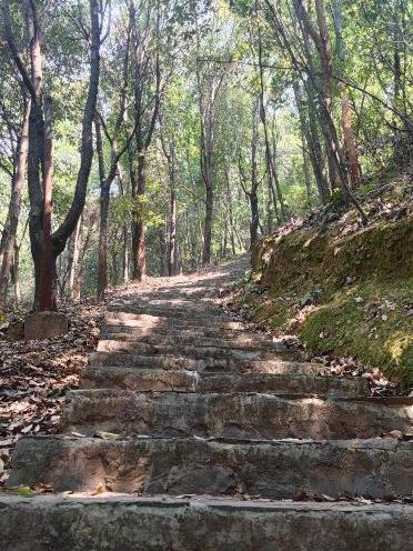 太阳山森林公园图片