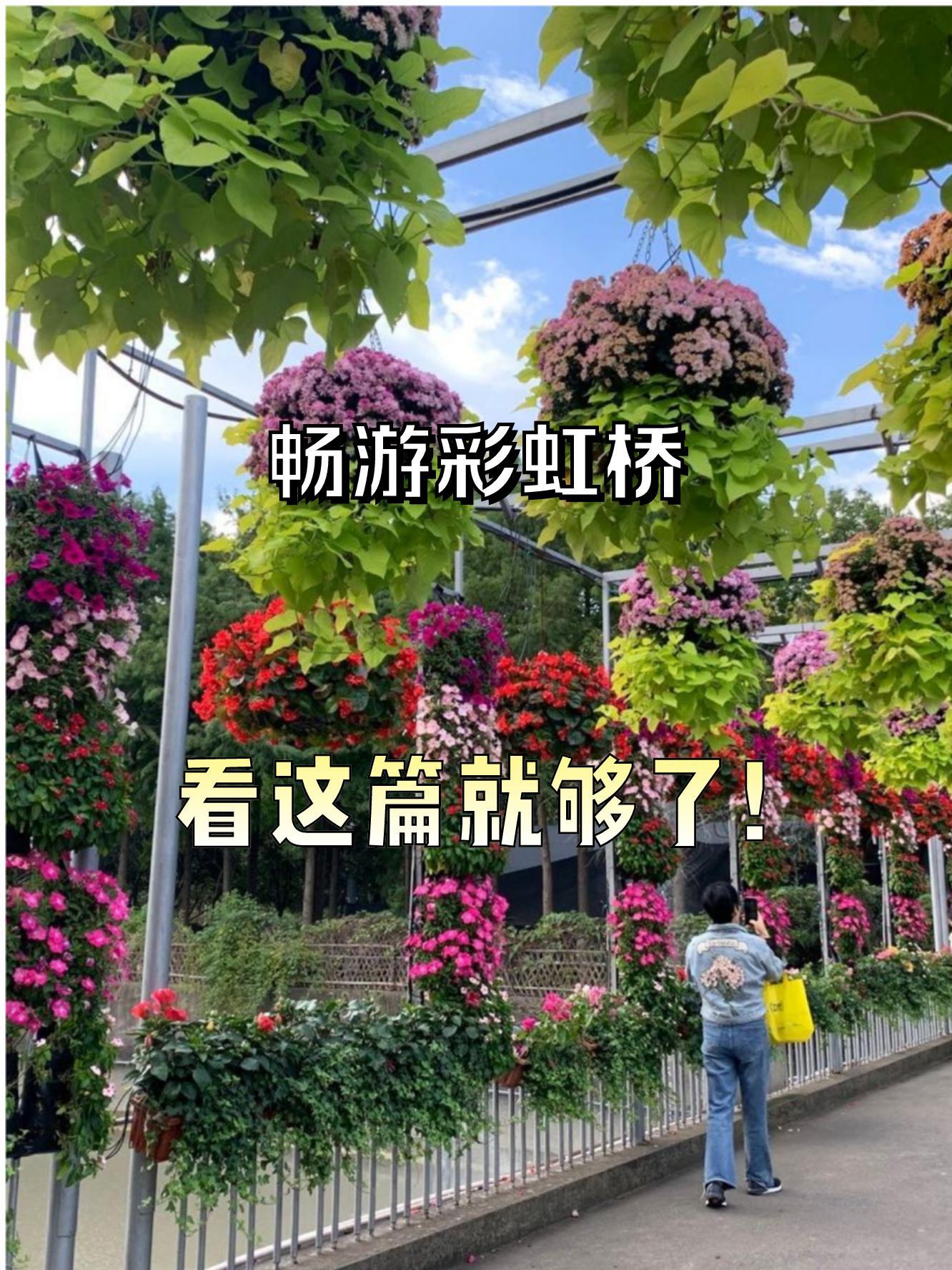 东营植物园彩虹桥图片