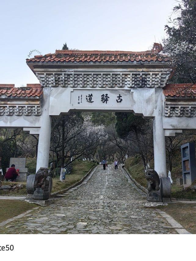 大余梅关风景区图片