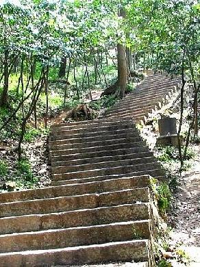 紫金山华泰登山道图片